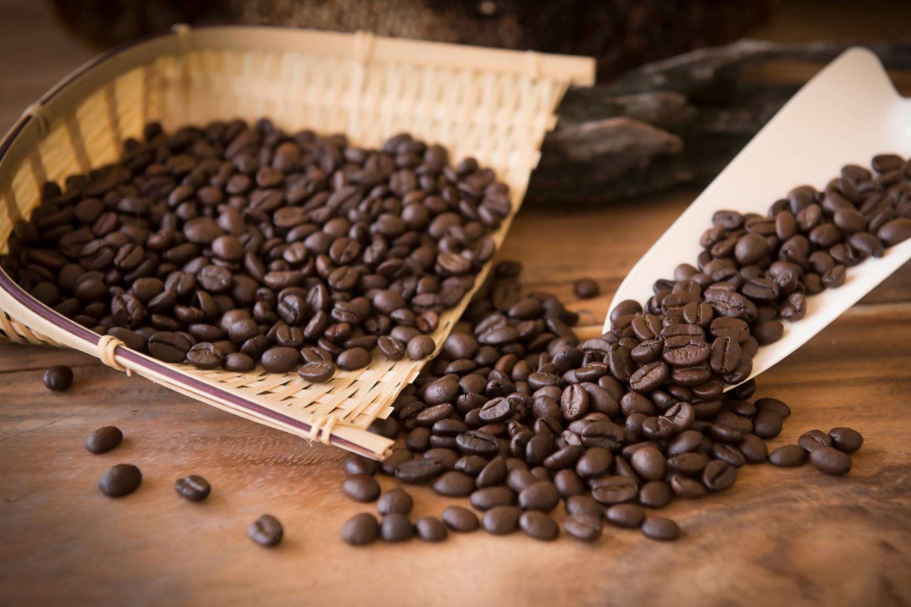 Bocca della Veritá ofrece café de todo tipo al por mayor