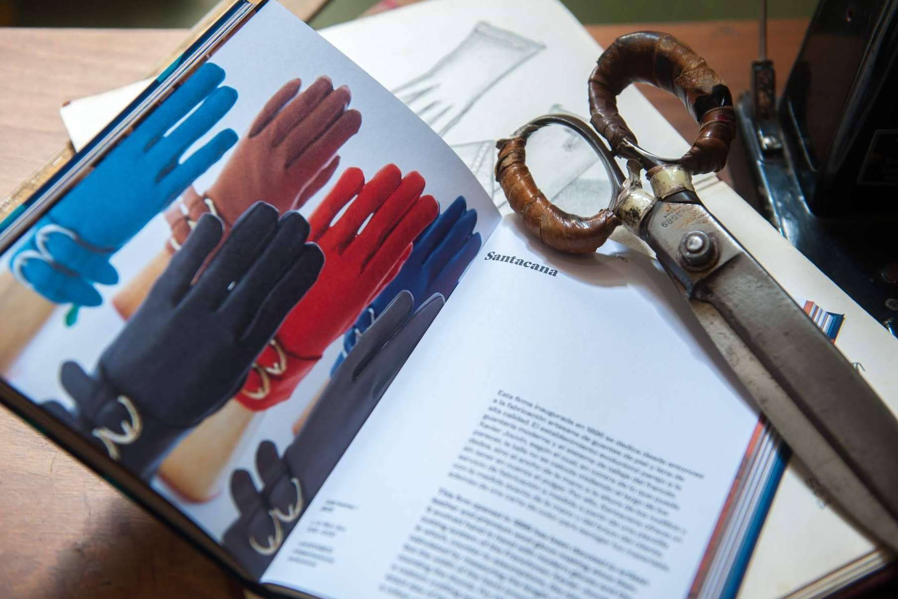 ¿De dónde son los guantes que aparecen en famosas revistas de moda?