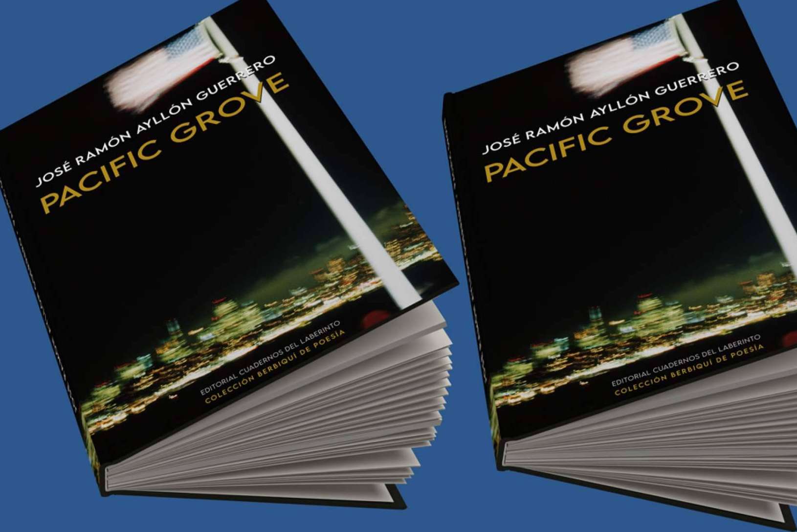 Ya está en las librerías 'Pacific Grove', el nuevo poemario de José Ramón Ayllón Guerrero