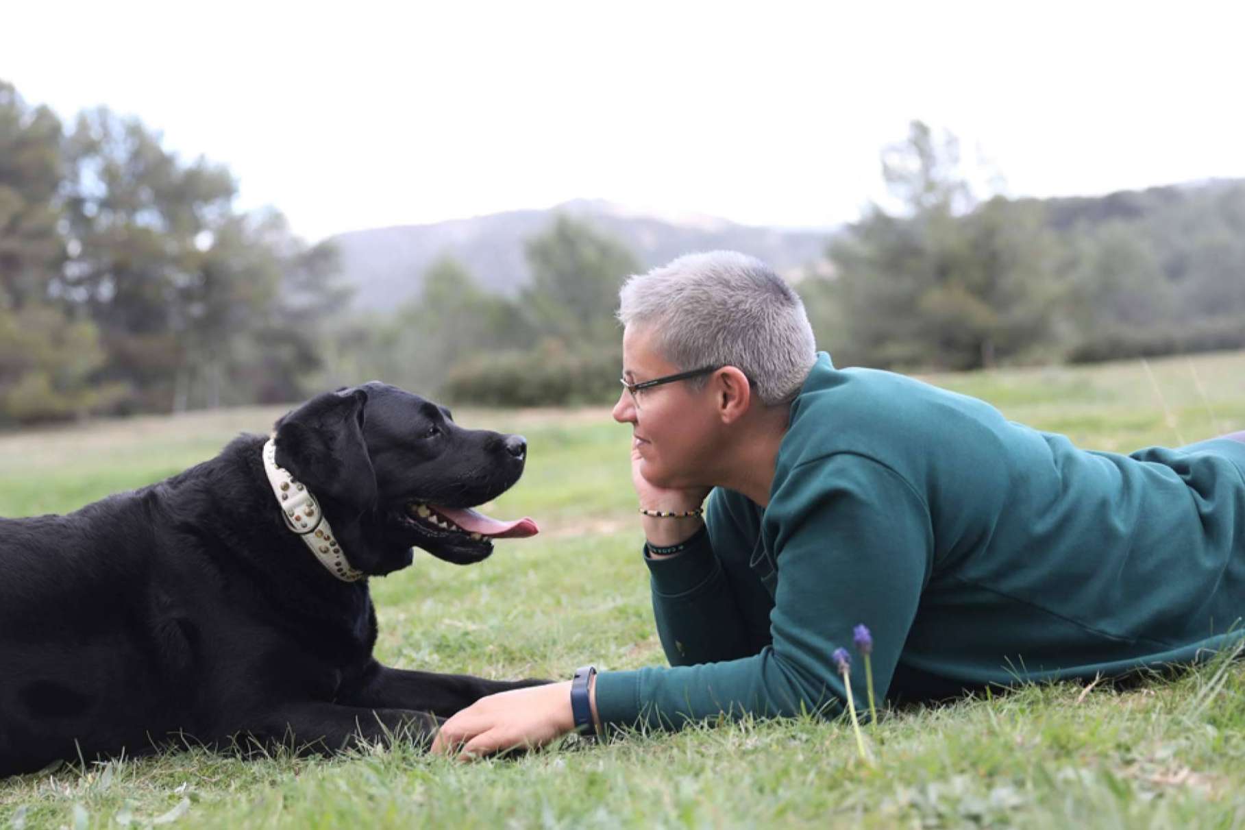 La importancia de entender el lenguaje canino, por el Instituto Dog Coaching