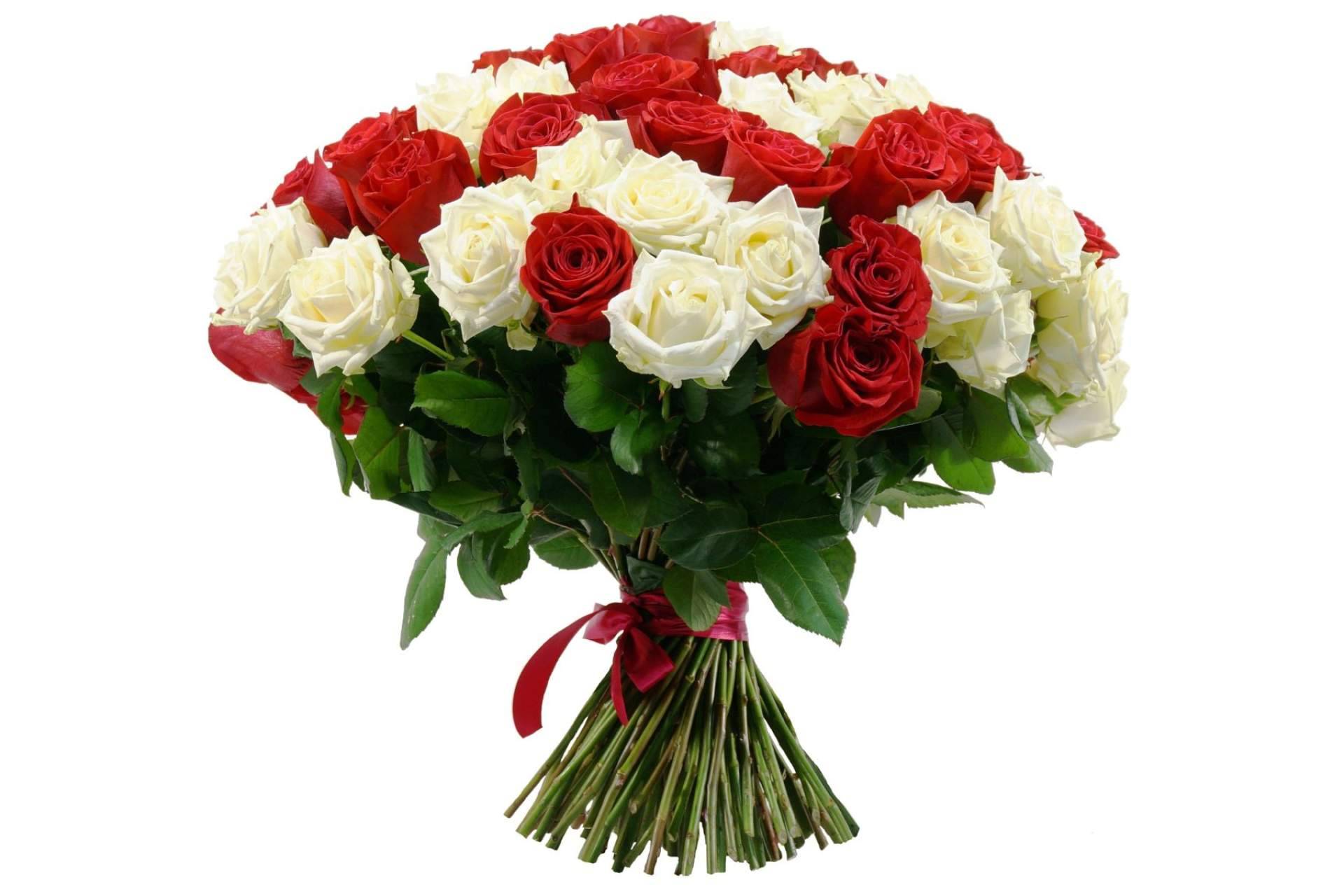 Rosistirem enumera ocasiones especiales para regalar un ramo de rosas blancas y rojas