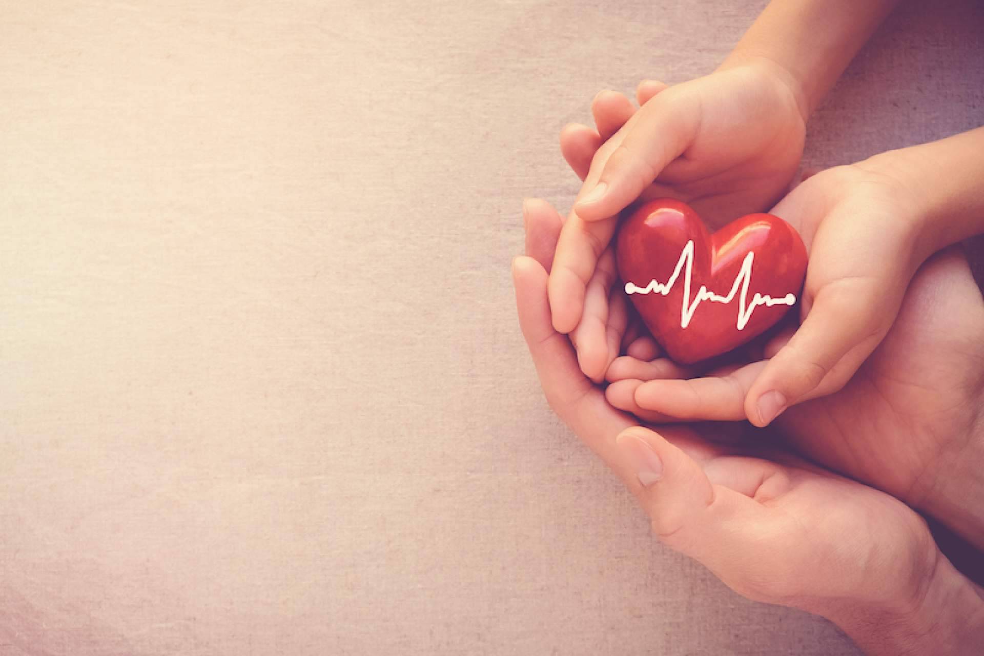 ¿Cuáles son los beneficios de los seguros de salud que ofrece Guadalajara Seguros?