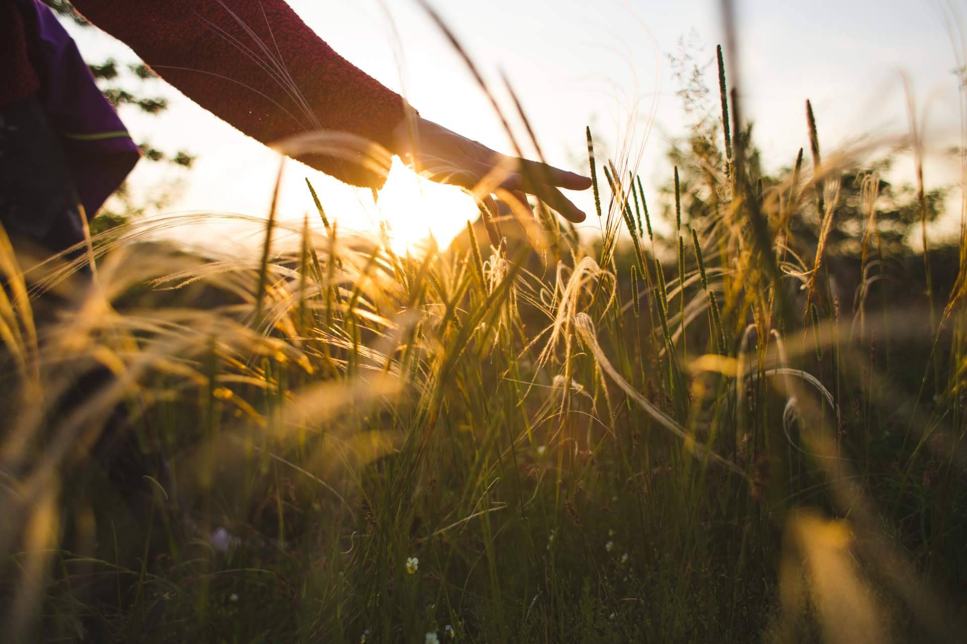 Las ventajas de hacer un retiro de meditación, según Podcastmeditacion.com