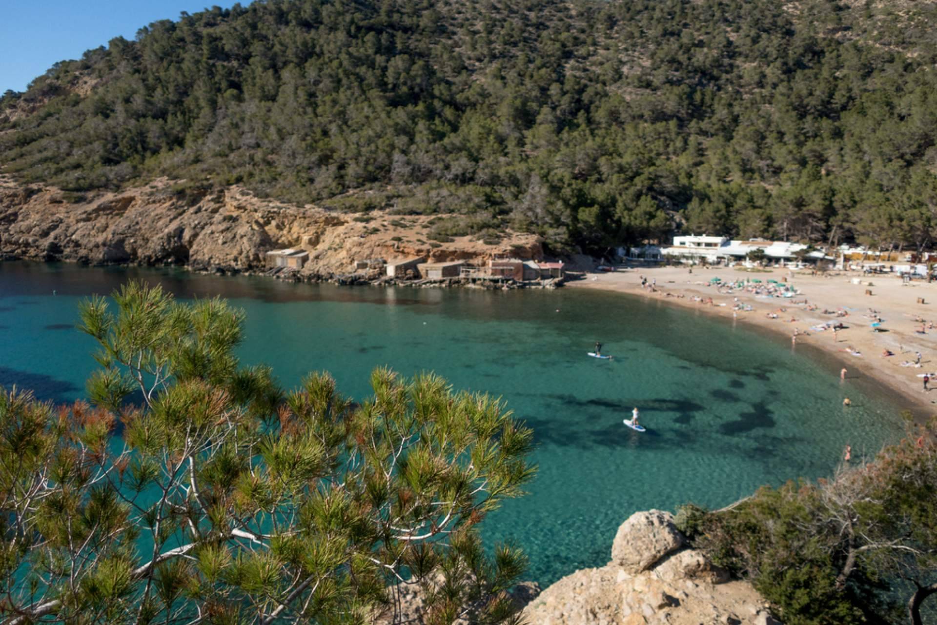 Alpha VIP Transfer sobre formas de moverse por Ibiza durante la estancia en la isla
