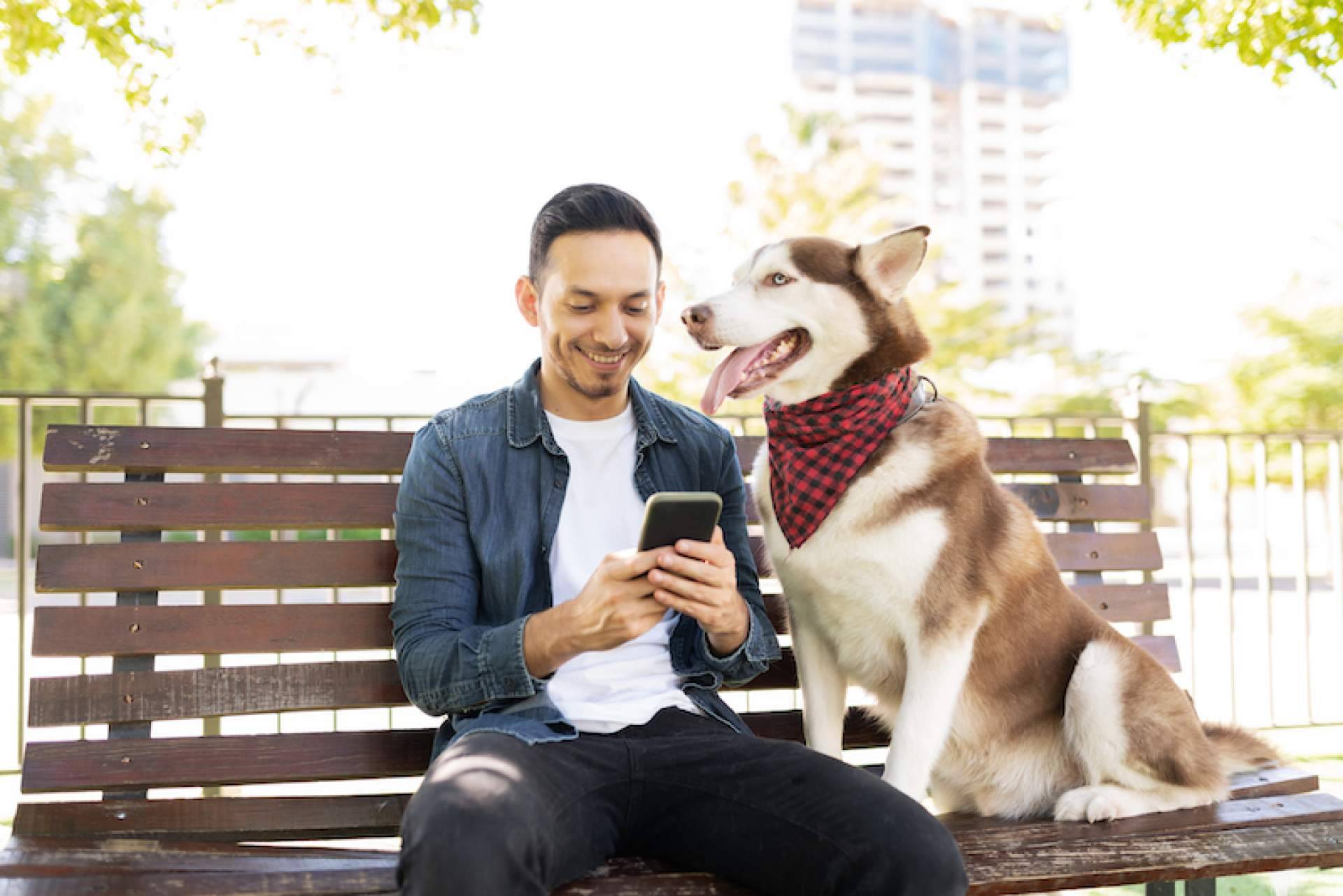 ADOPTA permite localizar algunos de los mejores lugares pet friendly para un perro