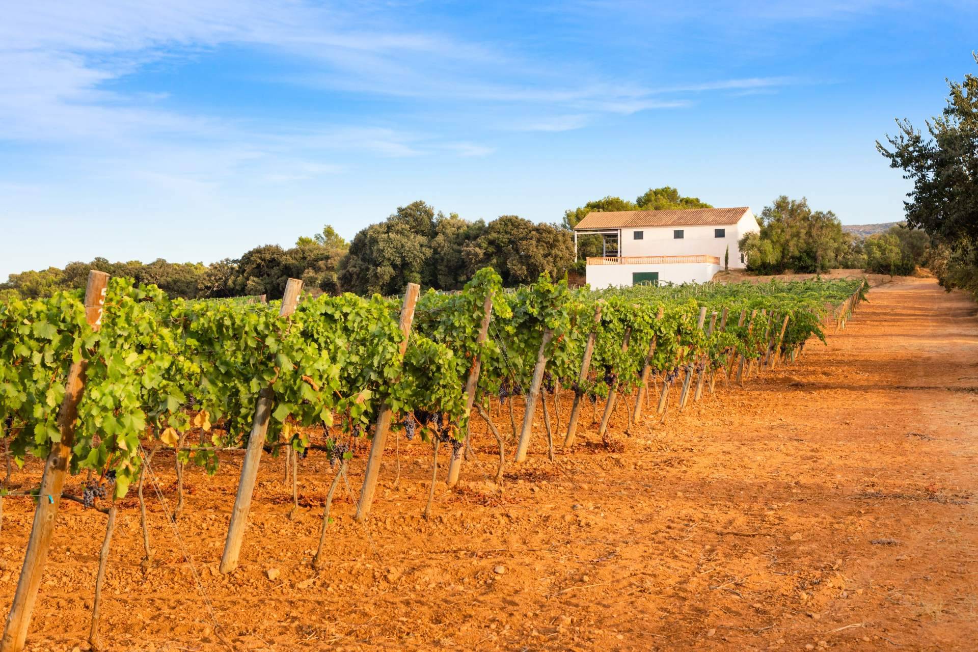 Recomendaciones para acertar al alquilar una casa de campo rural (agroturismo) en Mallorca