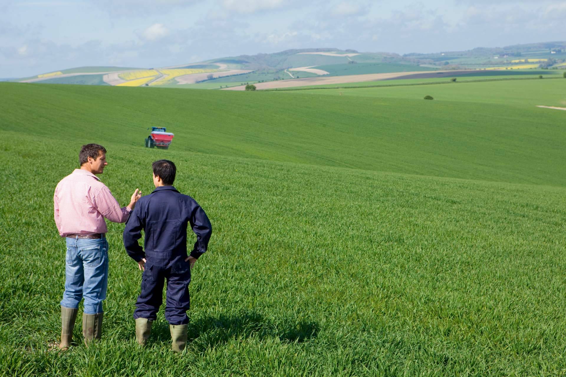 ¿Cómo cumplir con la legislación en el uso de los productos fitosanitarios en el campo? Fitovademécum
