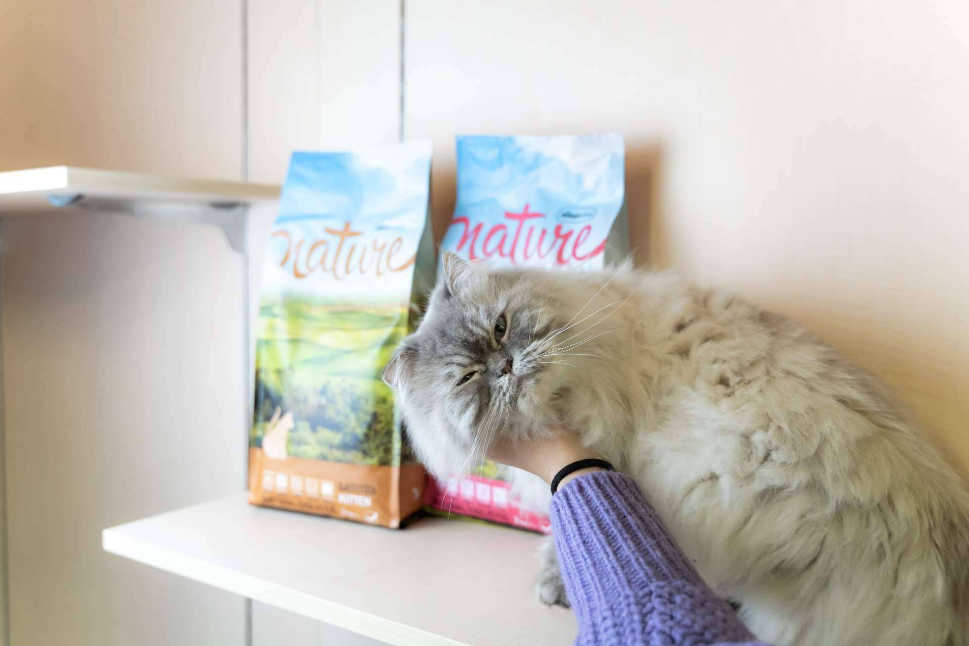 Pienso para perros sin cereales, con la gama Nature de Satisfaction