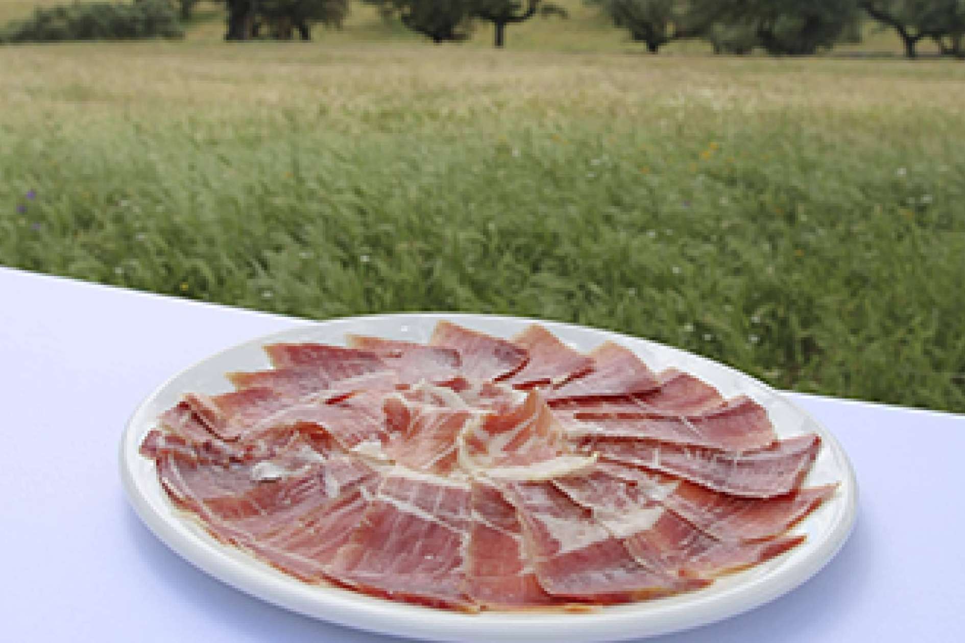 Bendita locura con ibericomio, comprar jamón ibérico por internet