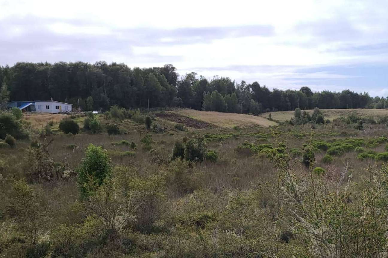 Laguna Quemchi es una empresa centrada en la comercialización de terrenos en el sur de Chile