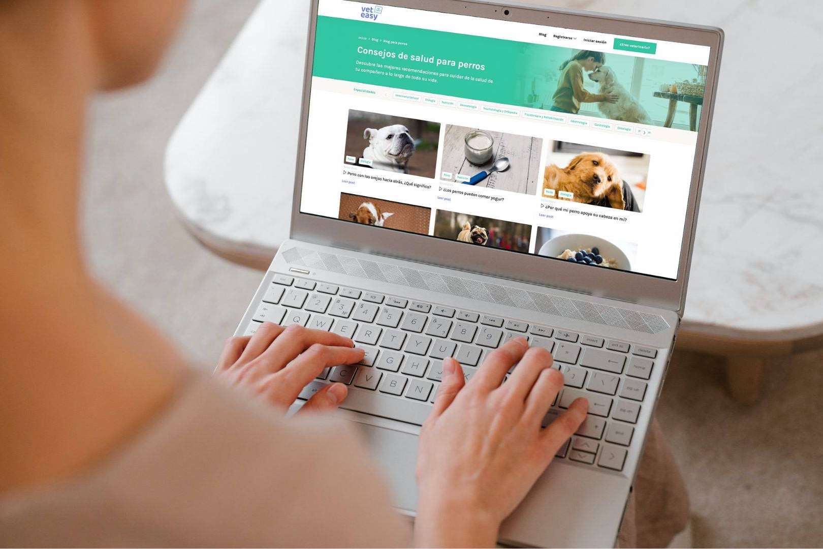 La plataforma VetEasy une a propietarios de mascotas con servicios veterinarios de calidad