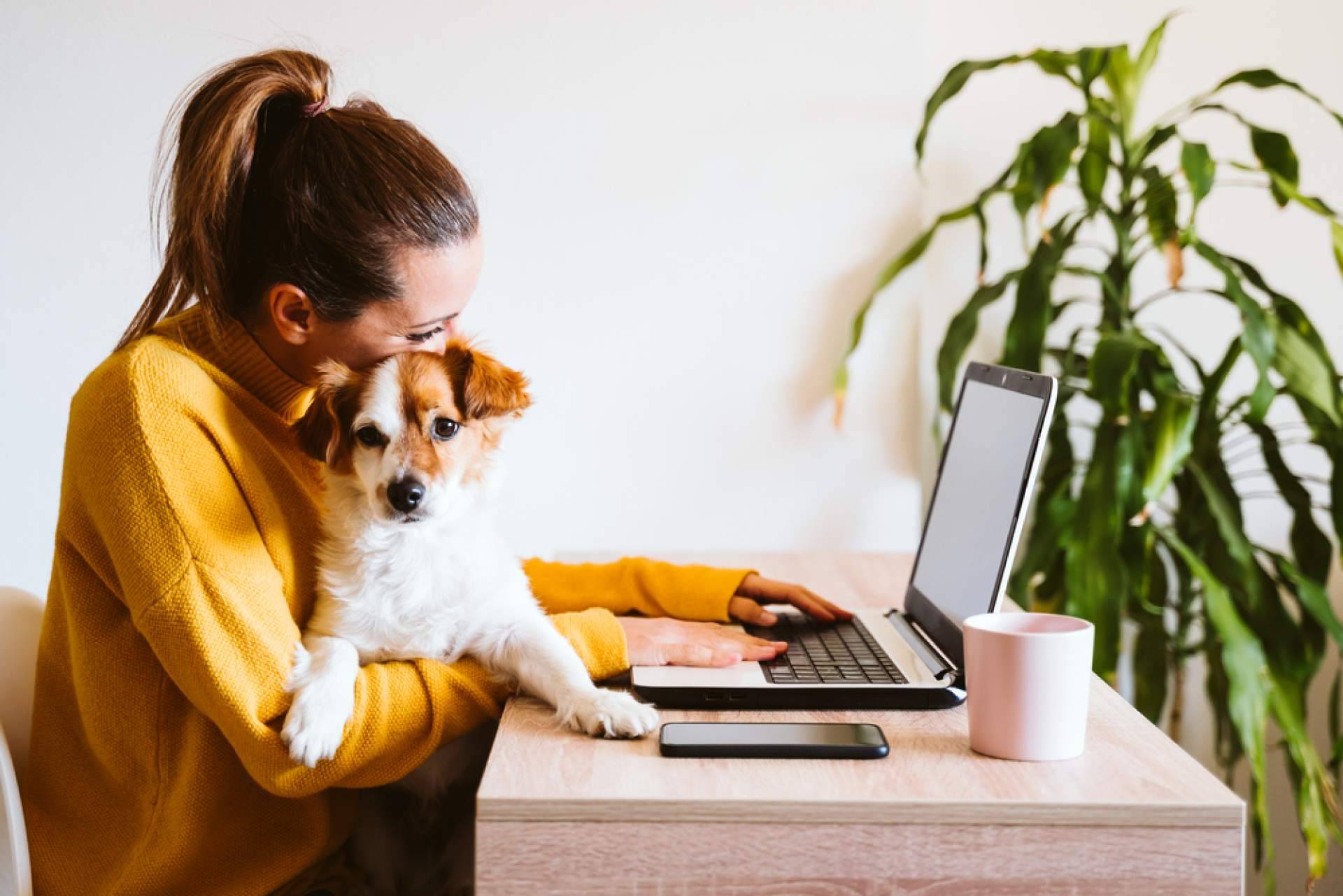 Apoyo Psicológico Online ofrece consejos sobre cómo lidiar con el estrés laboral de manera efectiva