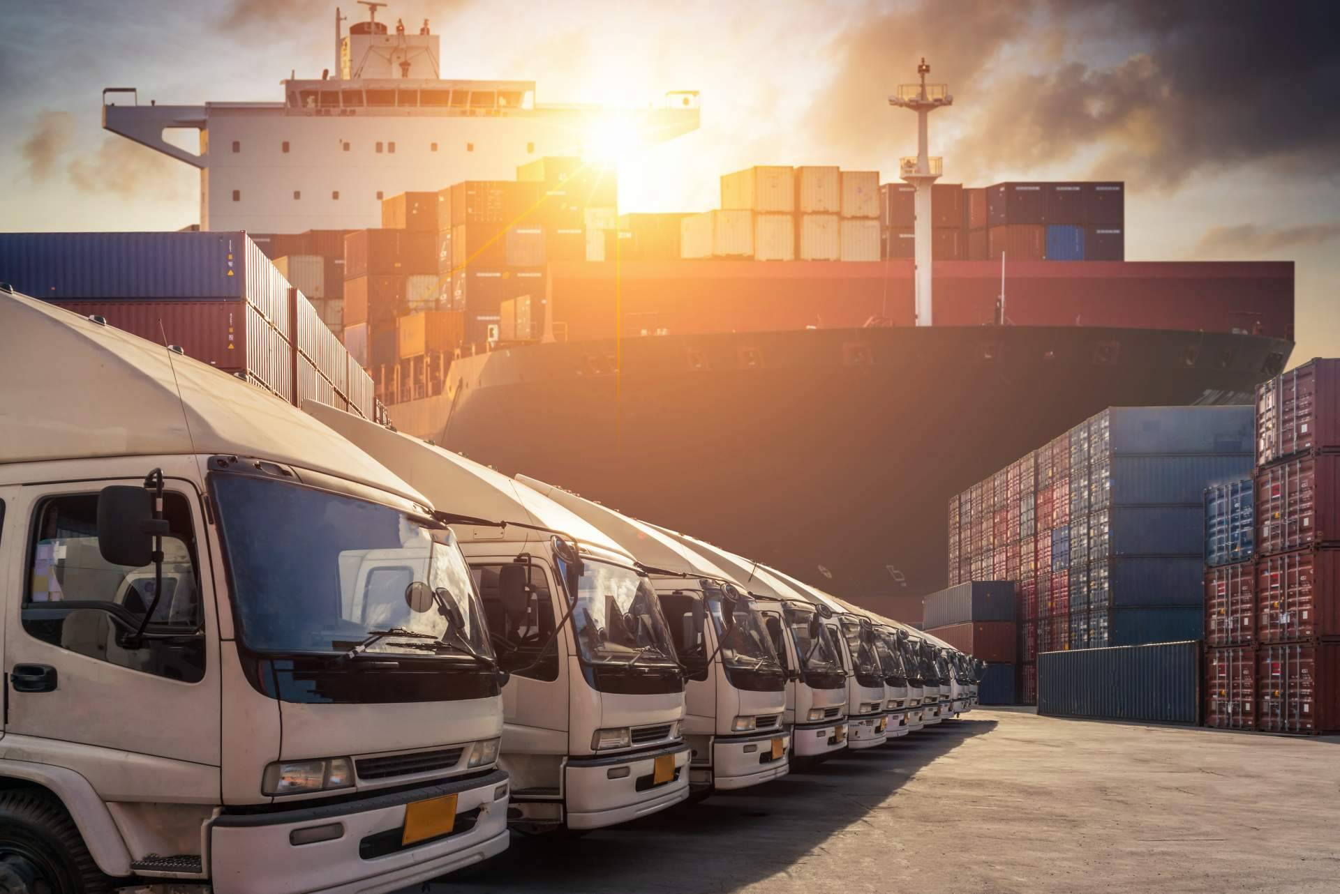 Servicio de transporte adecuado, tanto nacional como internacional de la mano de Terra Logistika