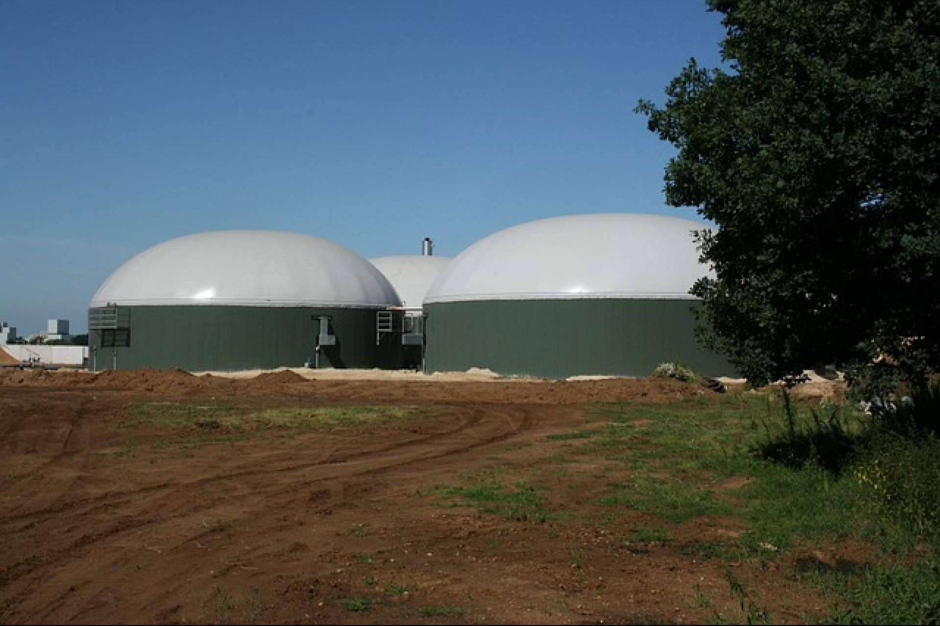 El auge de los biodigestores, por Calpech