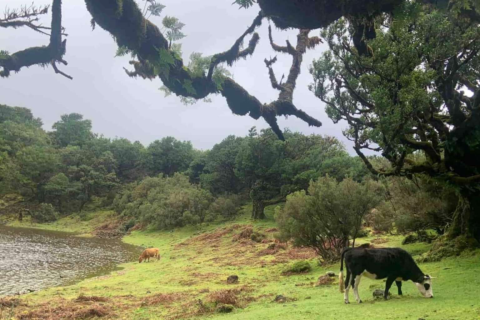 Conocer Madeira, un destino de película muy cerca de España