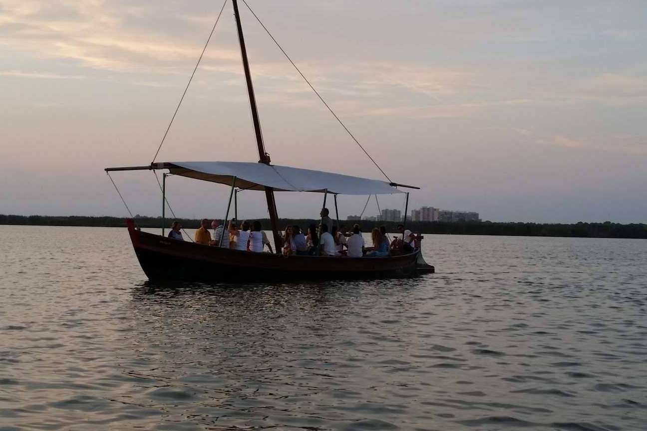 Explorar la Albufera con la guía experta de Albumar