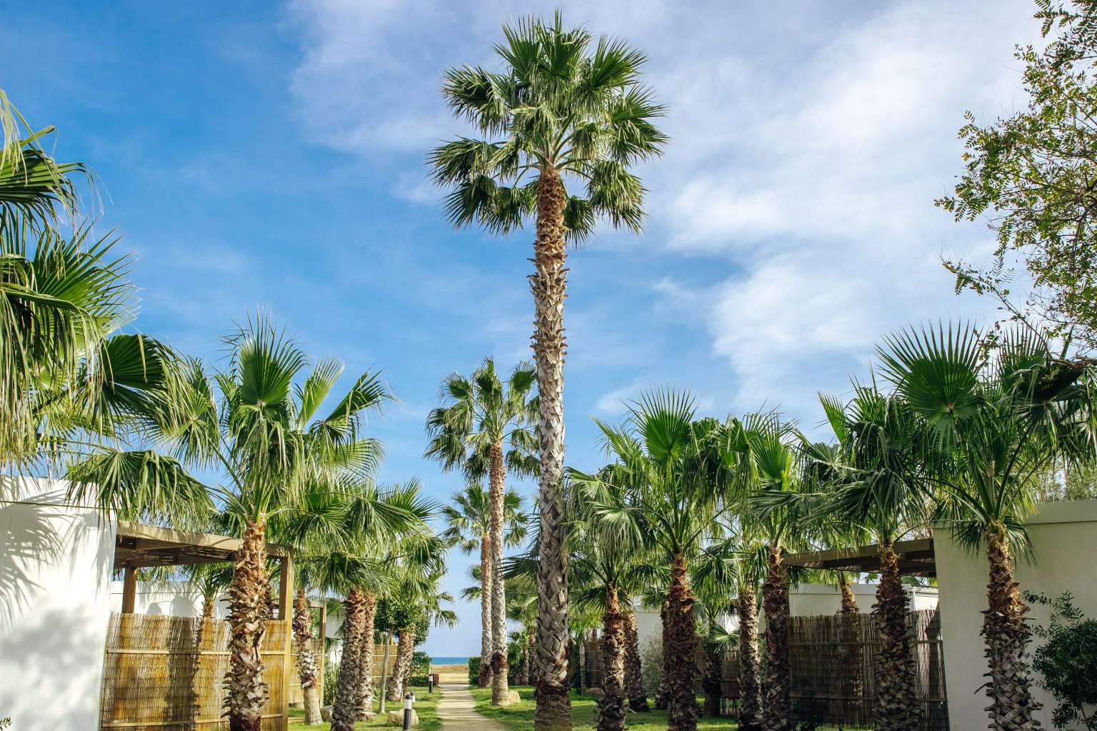 Alojamientos únicos en la Costa Daurada con Alannia Resorts