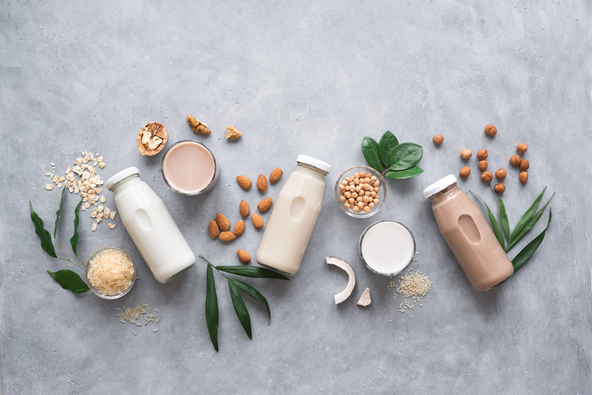 El auténtico sabor de las bebidas vegetales sin azúcar, de la mano de Ecomil