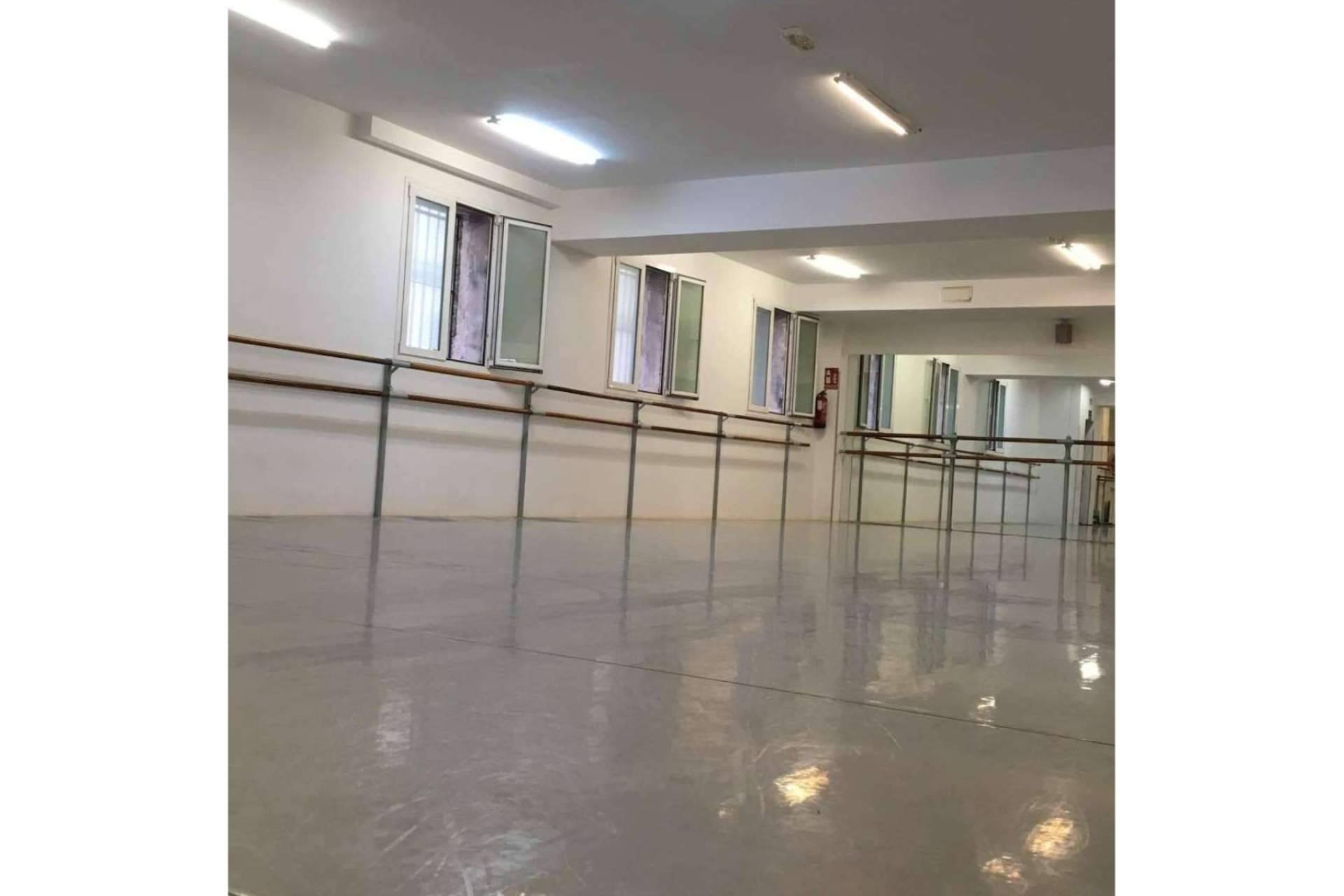 Cursos que ofrece la Escuela de Ballet Carmina Ocaña y Pablo Savoye