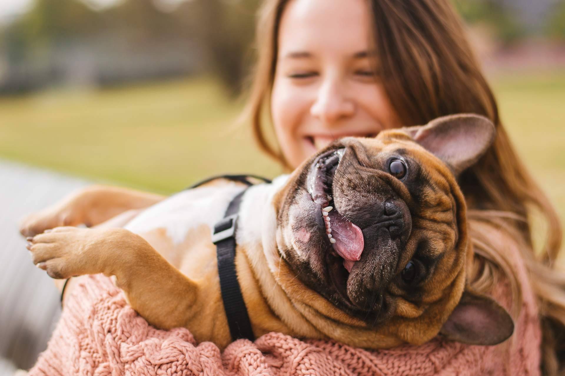 La tienda de productos para mascotas Can Xana presenta su nueva página web