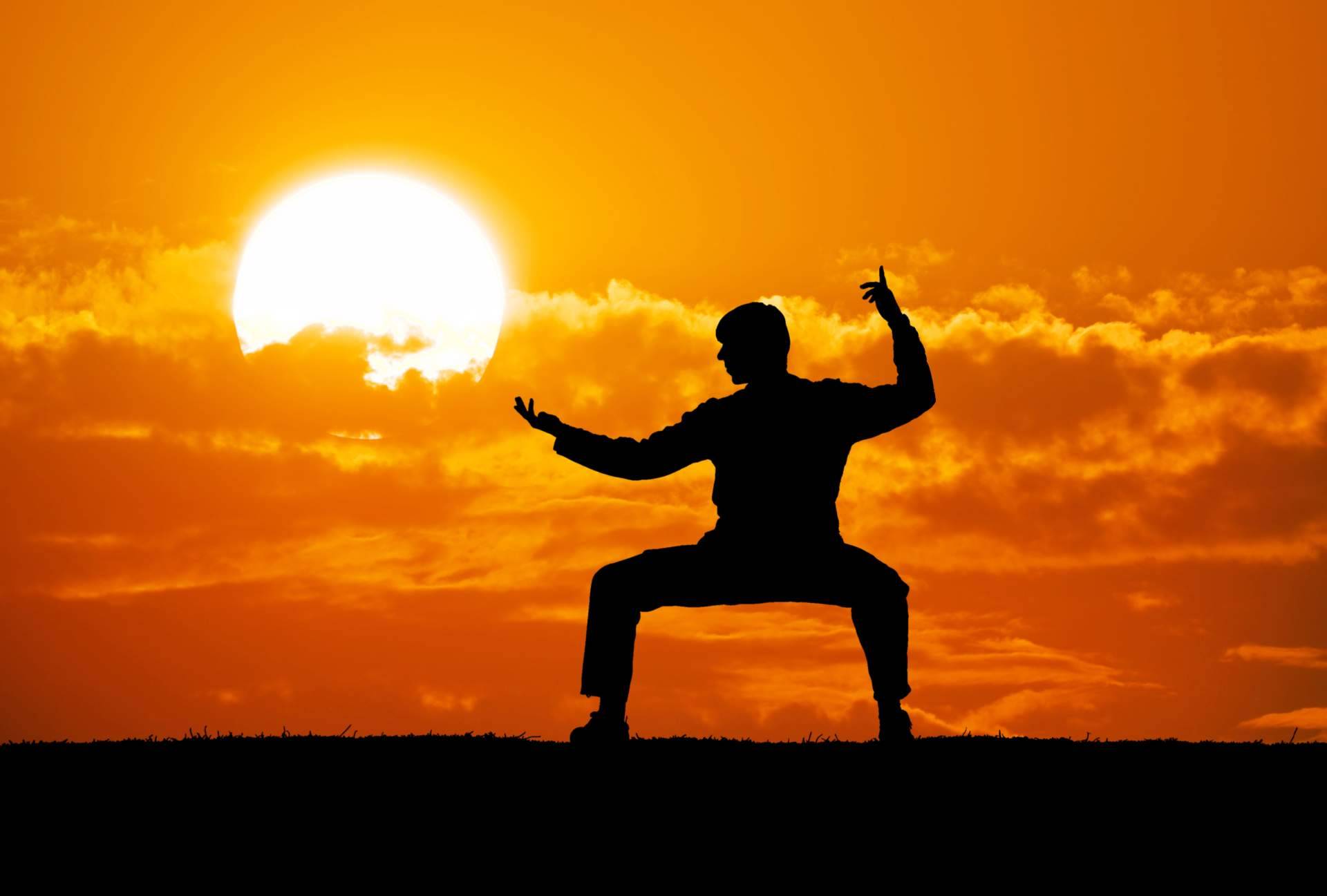 ¿En qué consiste el Kung Fu Shaolin Norteño o Bei Shaolin?