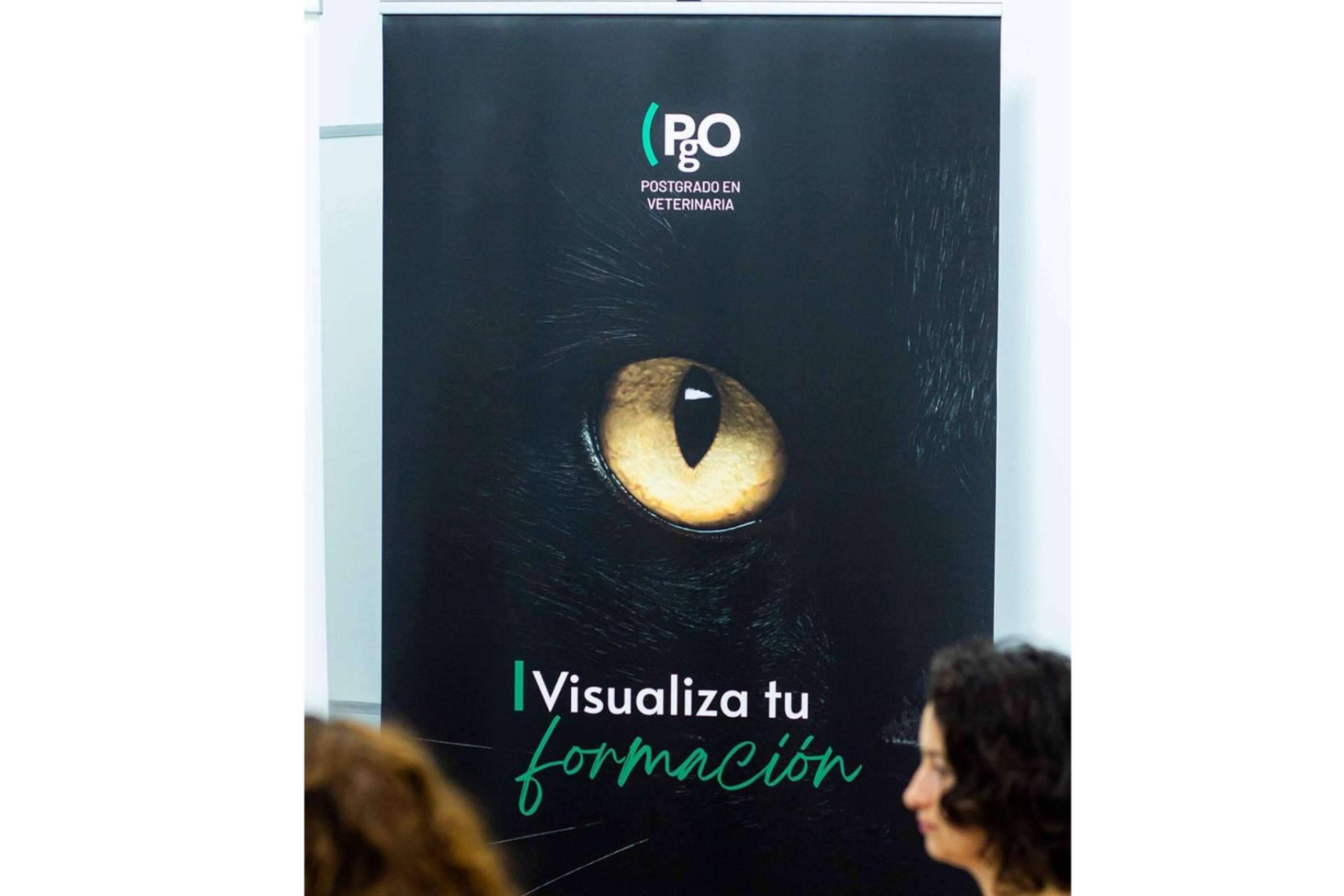 PgO Veterinaria ofrece formación de postgrado de calidad