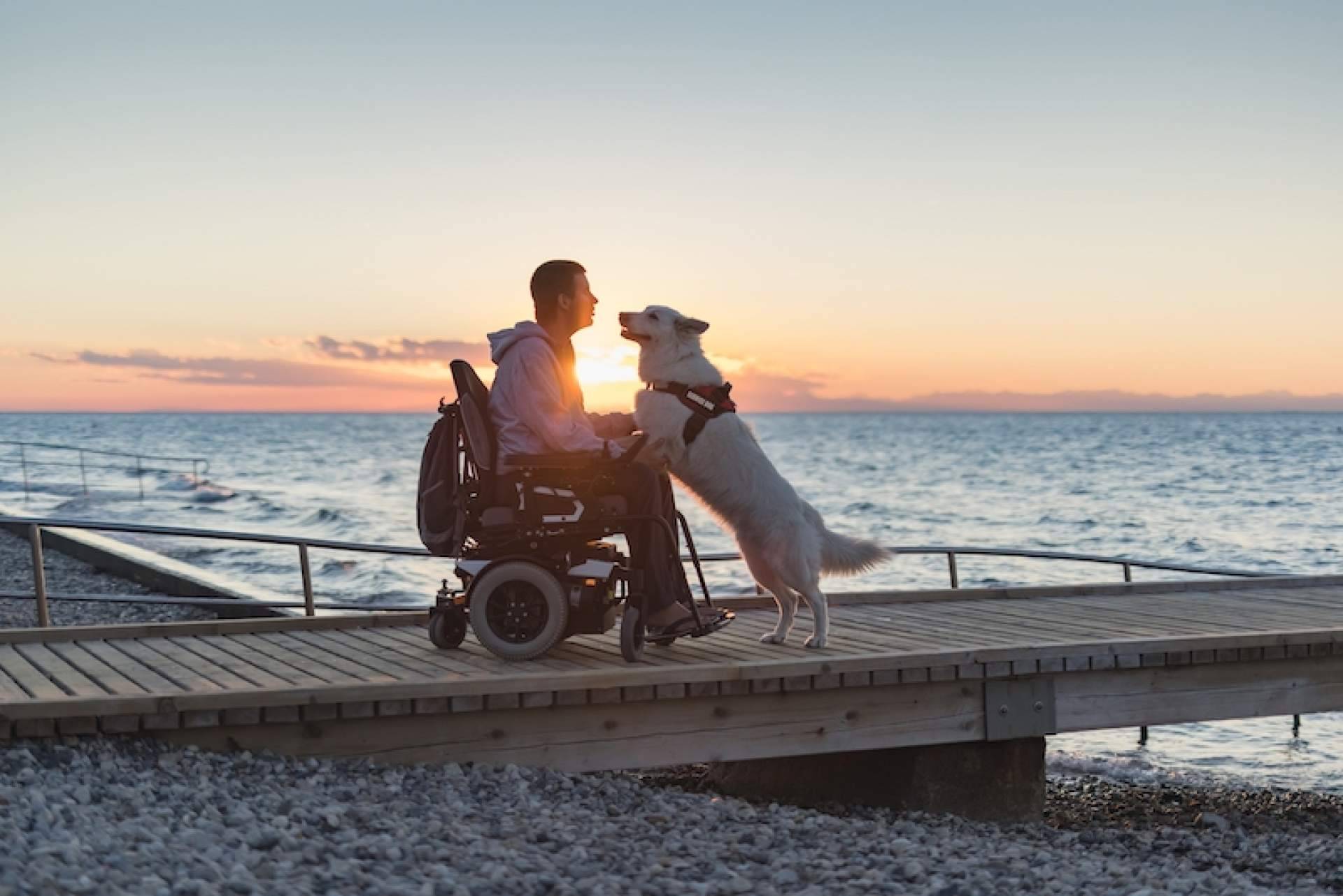 Desplazamiento sin dolor con scooters eléctricas, con Mobility-Vida