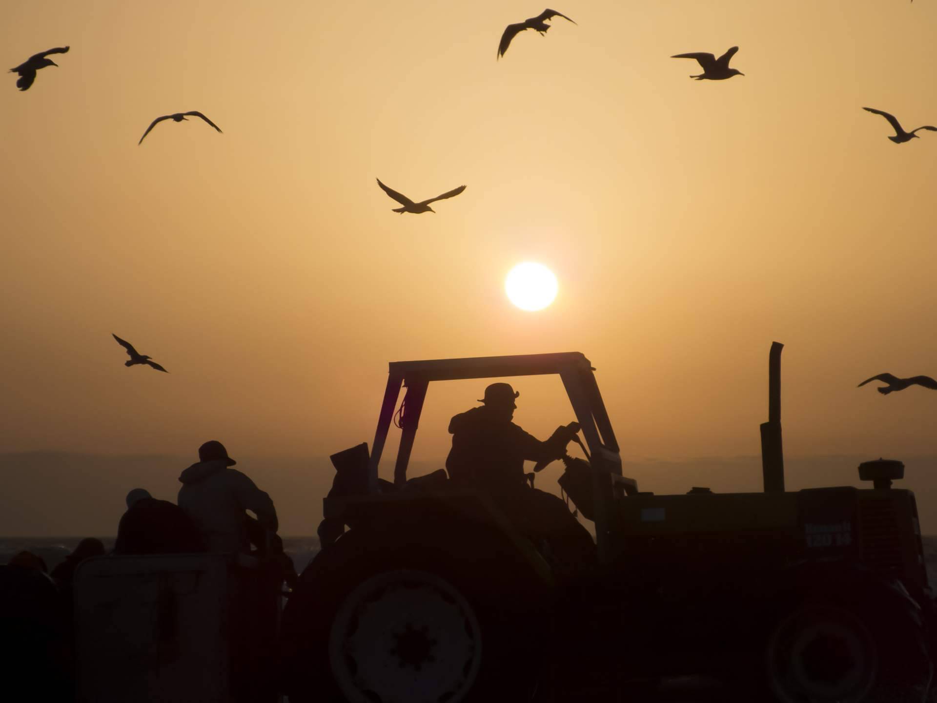 Maquinaria agrícola de calidad y precios competitivos con el Grupo Sesla
