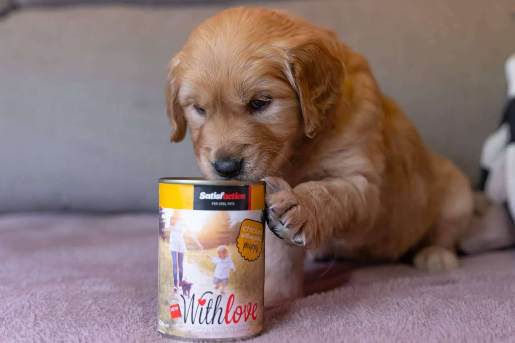 La importancia de garantizar una buena alimentación a los cachorros, por Satisfaction