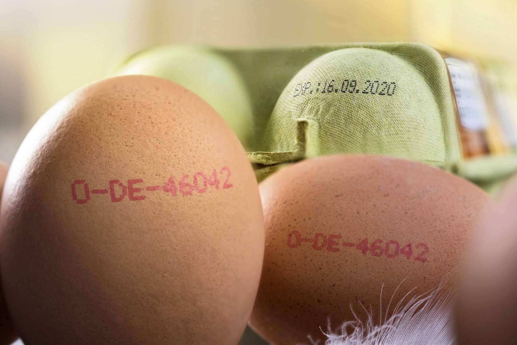 ¿Por qué todos los productos que se venden en el supermercado se codifican?, con Trébol Group