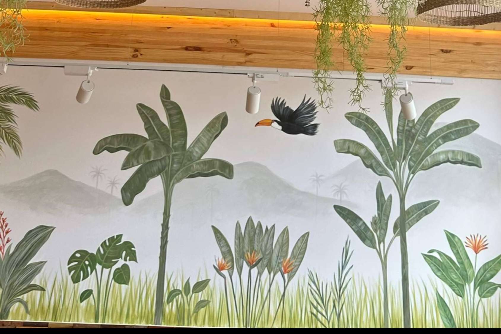 La cafetería de moda en España, AMAZONIA ACAI