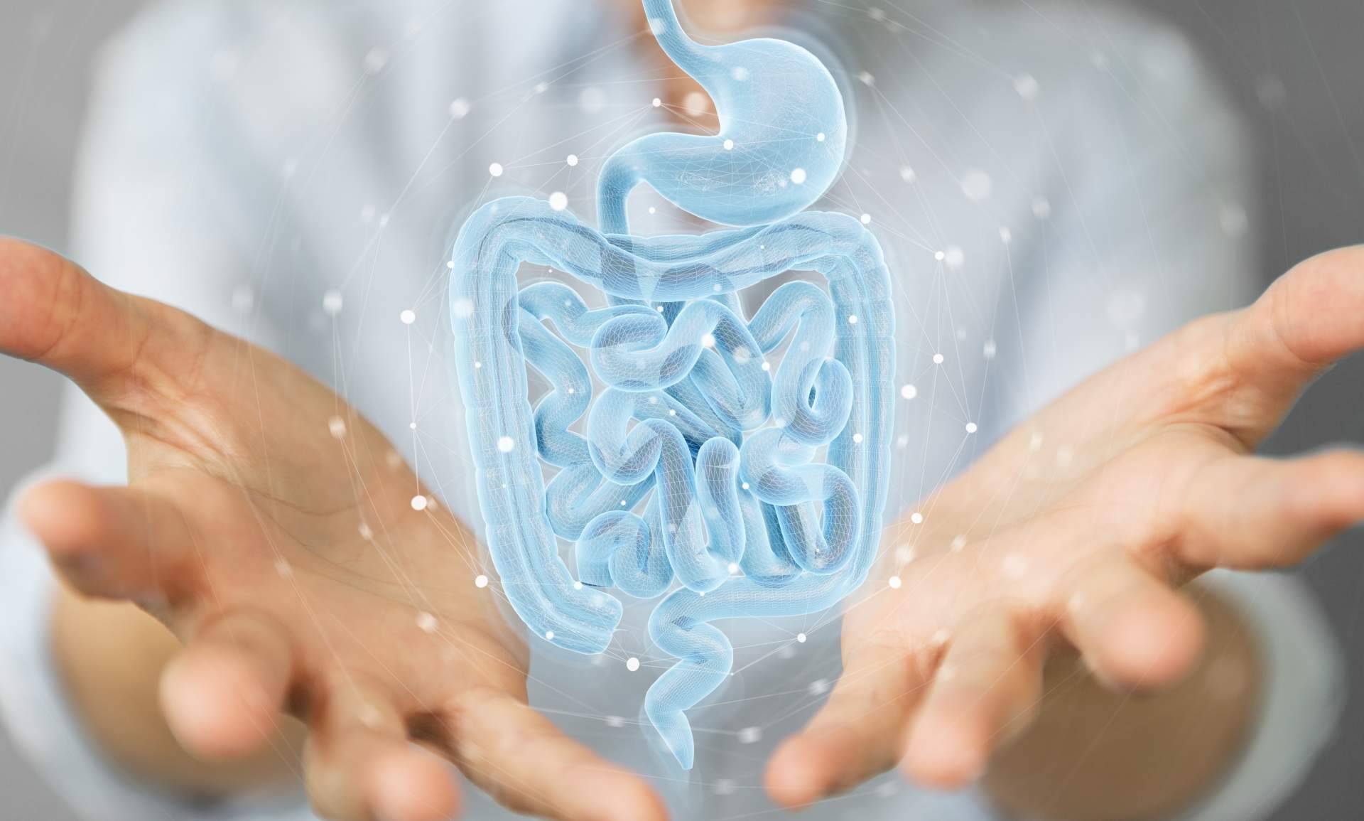 COEUS Retroaging, el equipo especializado en el tratamiento microbiota