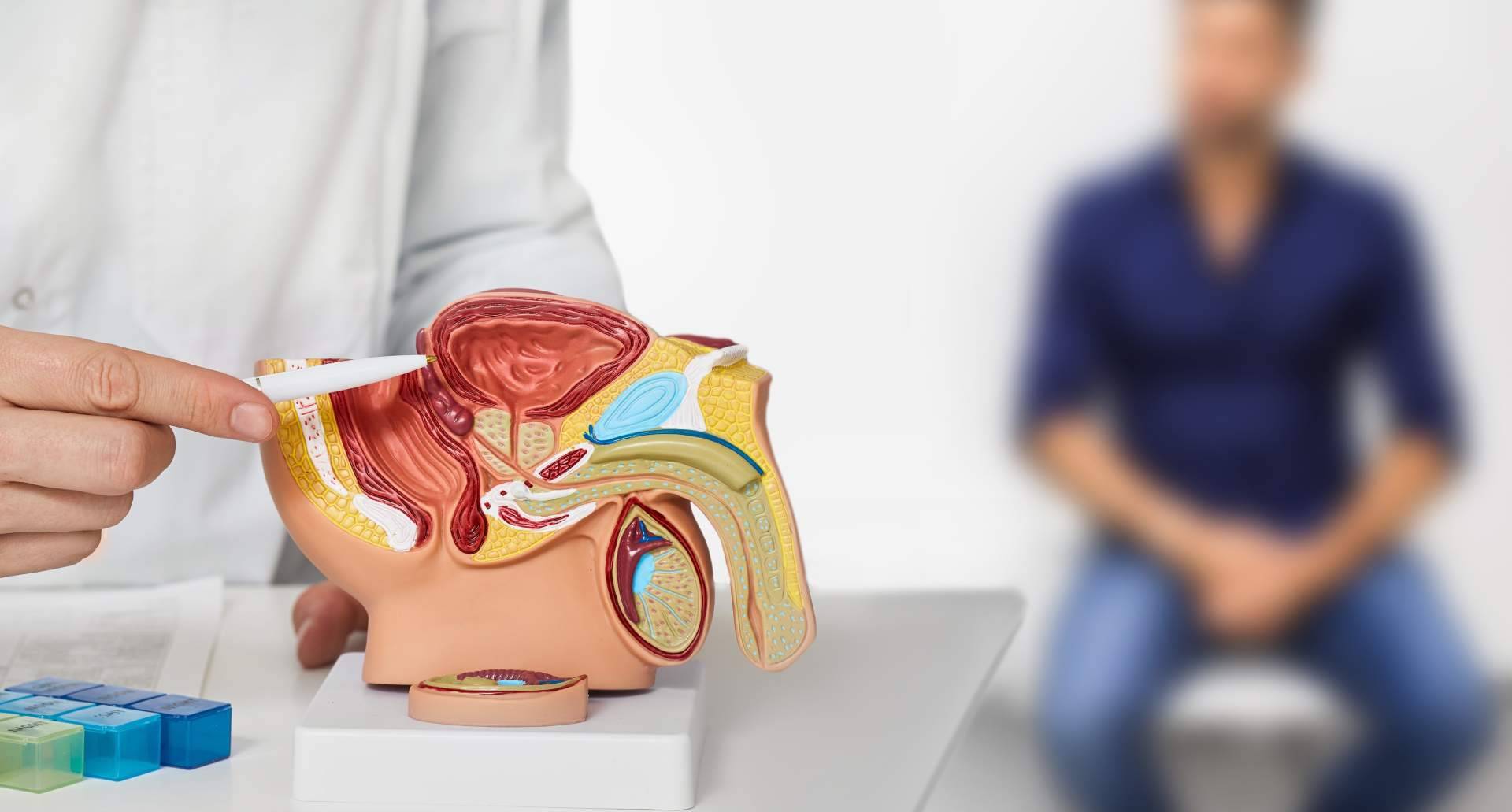 Informarse acerca del cáncer de próstata con el Doctor Nelson Diez