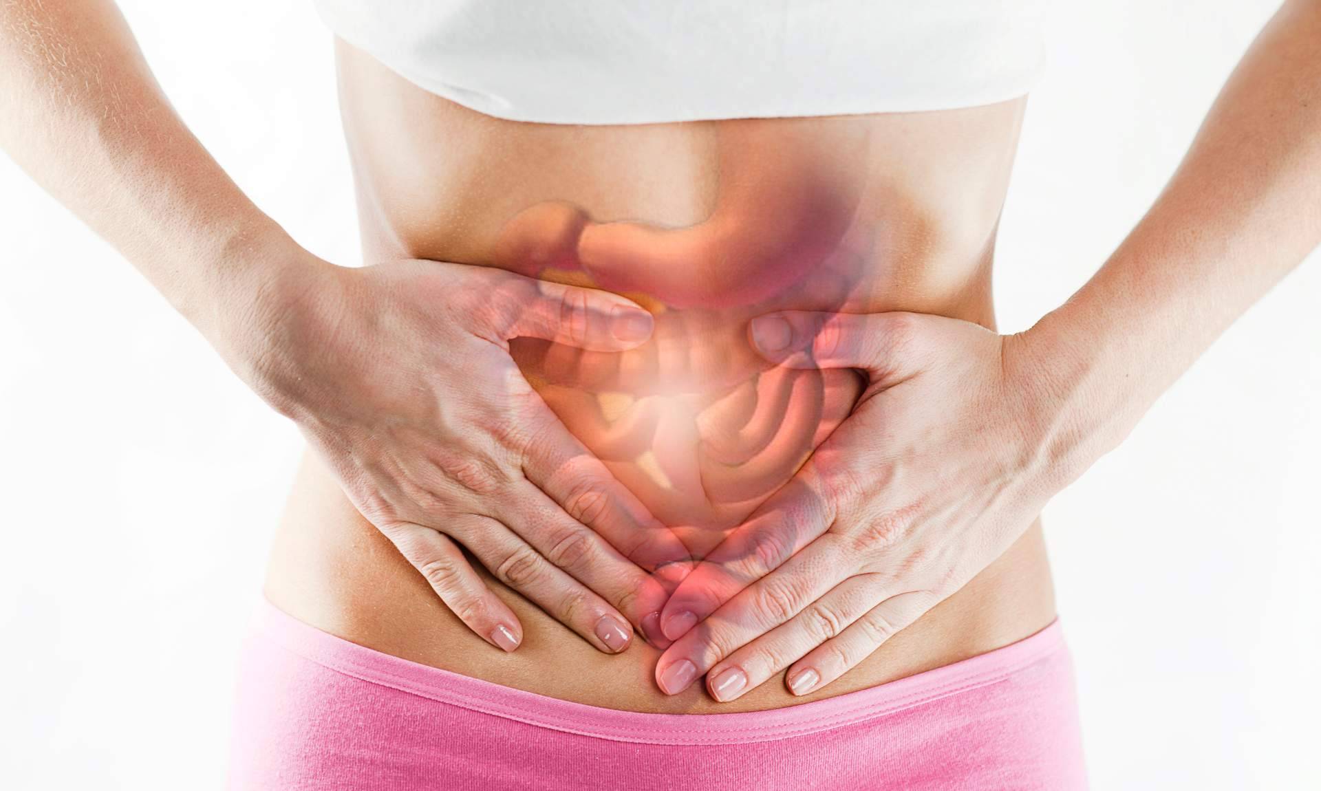 Tratar trastornos intestinales con la ayuda de la leche de yegua, por eQuaid Research