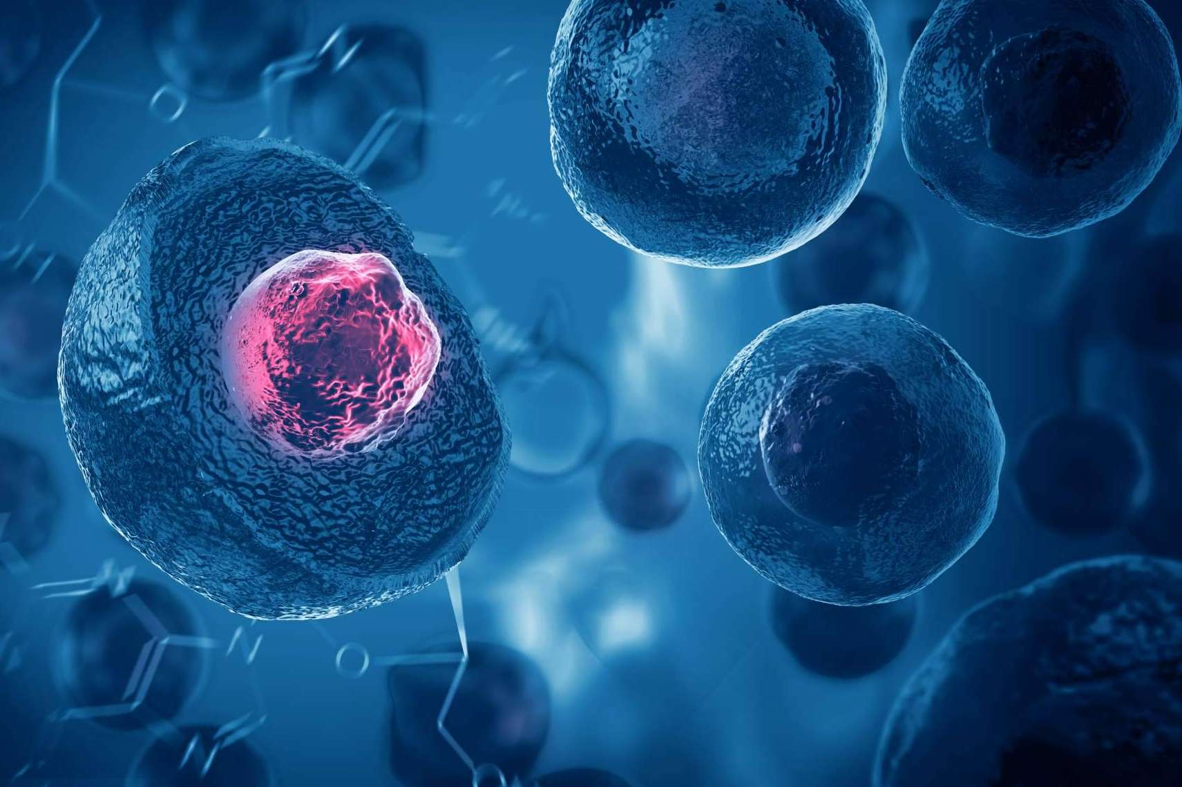 Formación completa sobre exosomas en el campo de la medicina antienvejecimiento y regenerativa