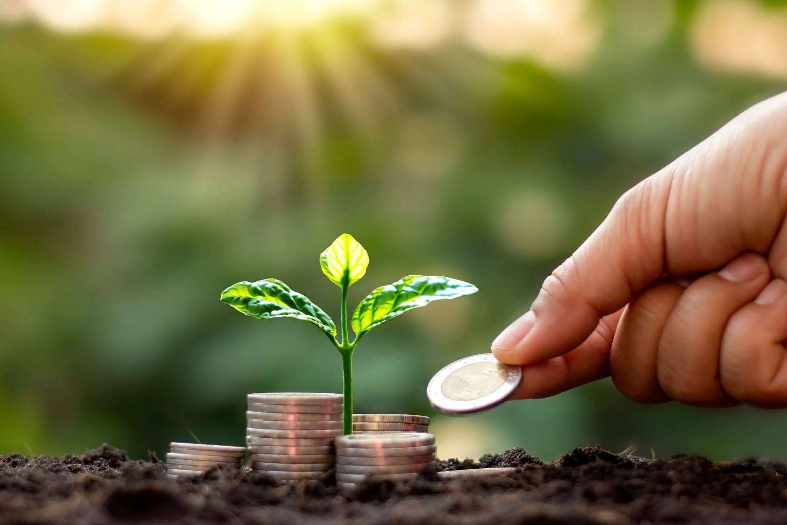 Una de las mejores tarifas de gas natural de este verano para empresas disponible con Eneryou