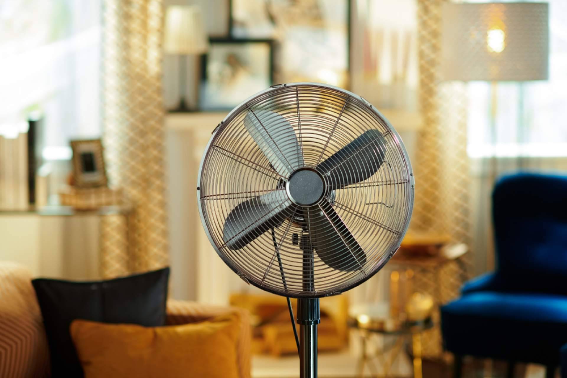 Latiendadeelectricidad.com dispone de un extenso catálogo de ventiladores de techo