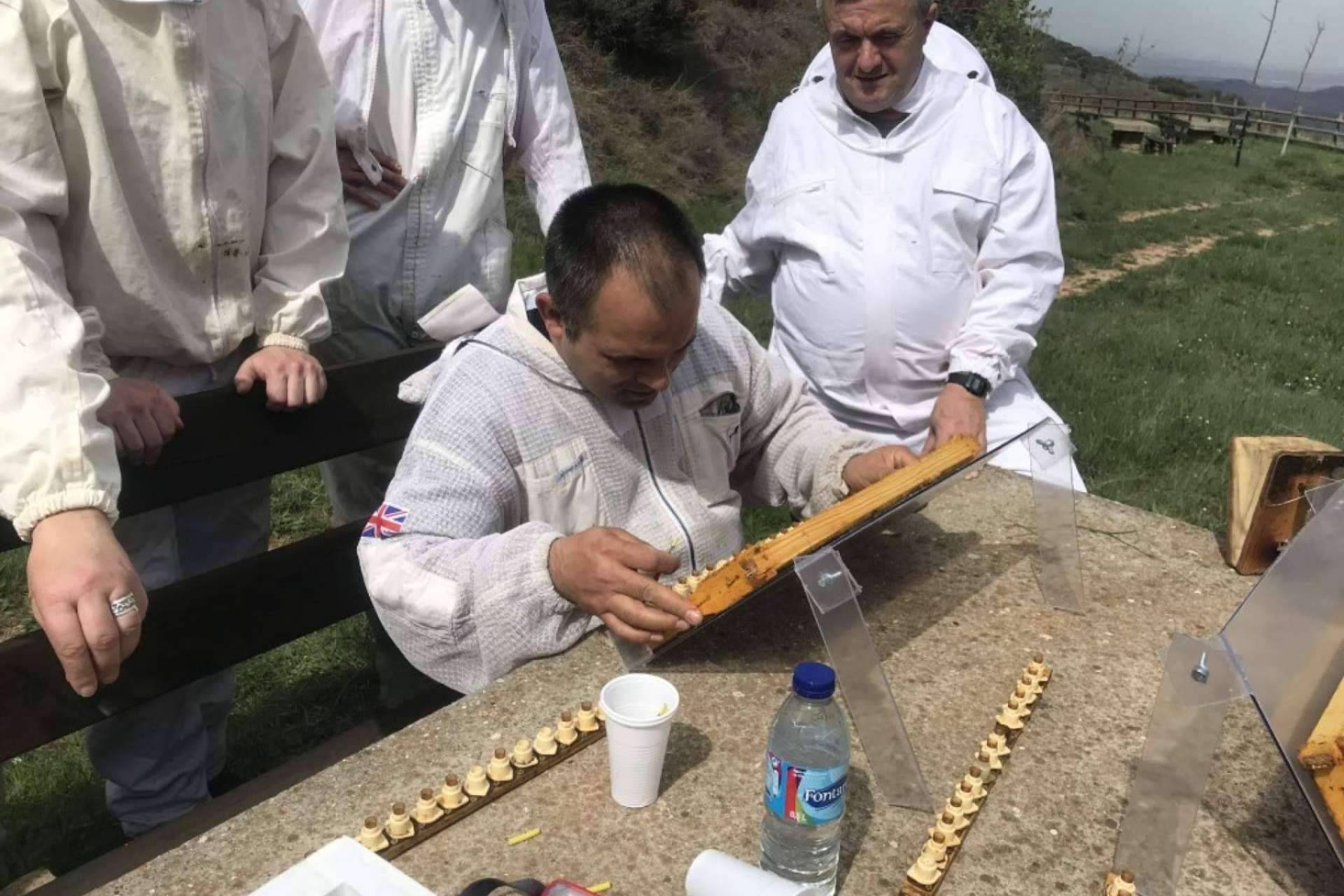 El enfoque en el criadero de abejas reinas de Cursos Apicultura