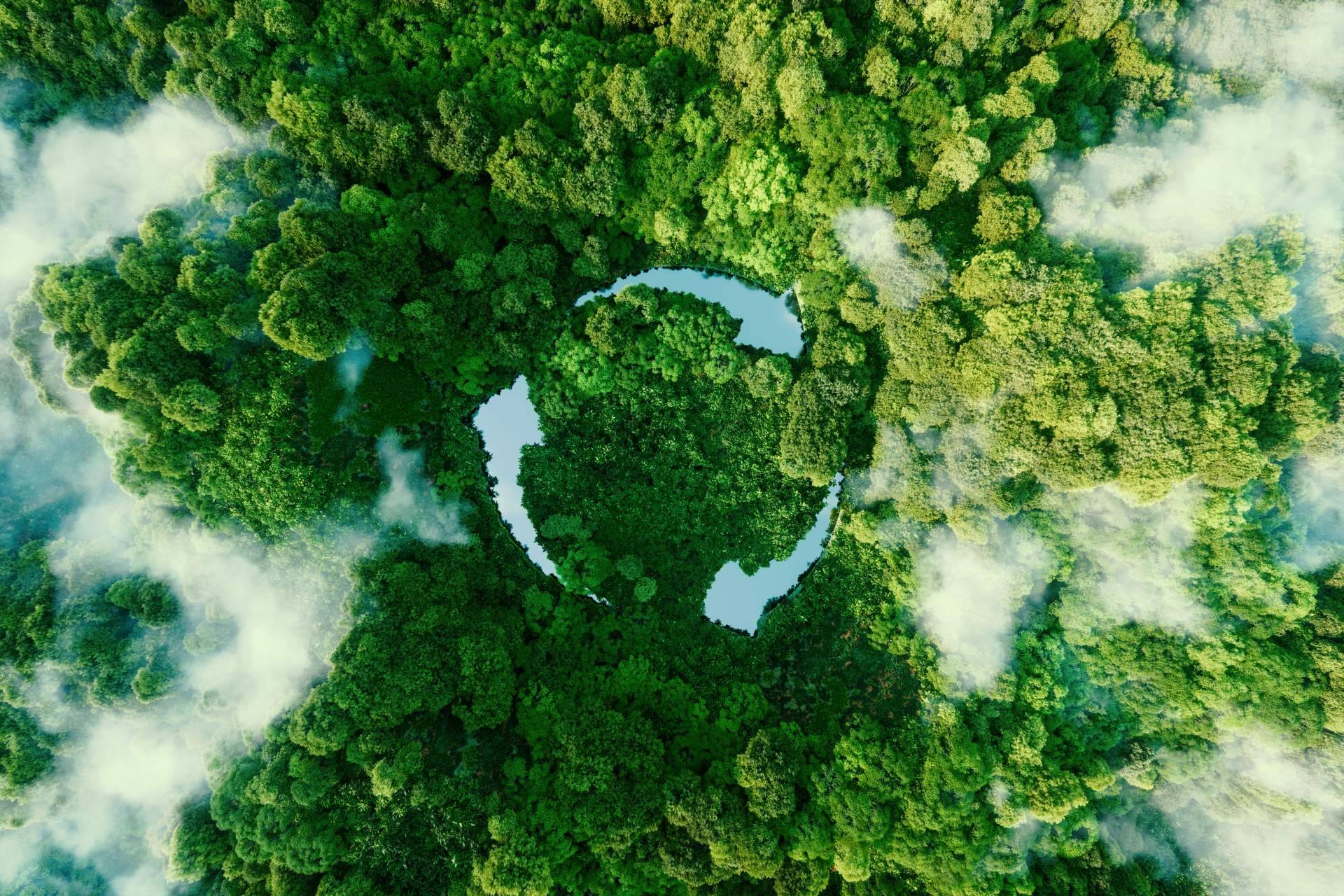 La relevancia de la conciencia ambiental y la sostenibilidad en el ámbito empresarial