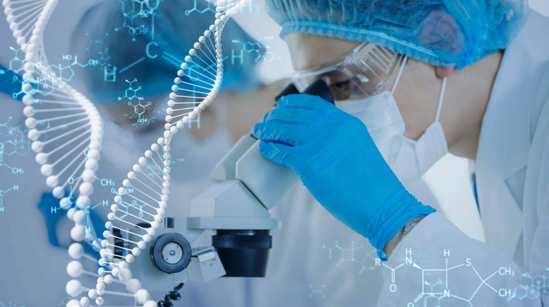 Immunotherapy Regenerative Medicine y las terapias con células madre y medicina regenerativa antienvejecimiento