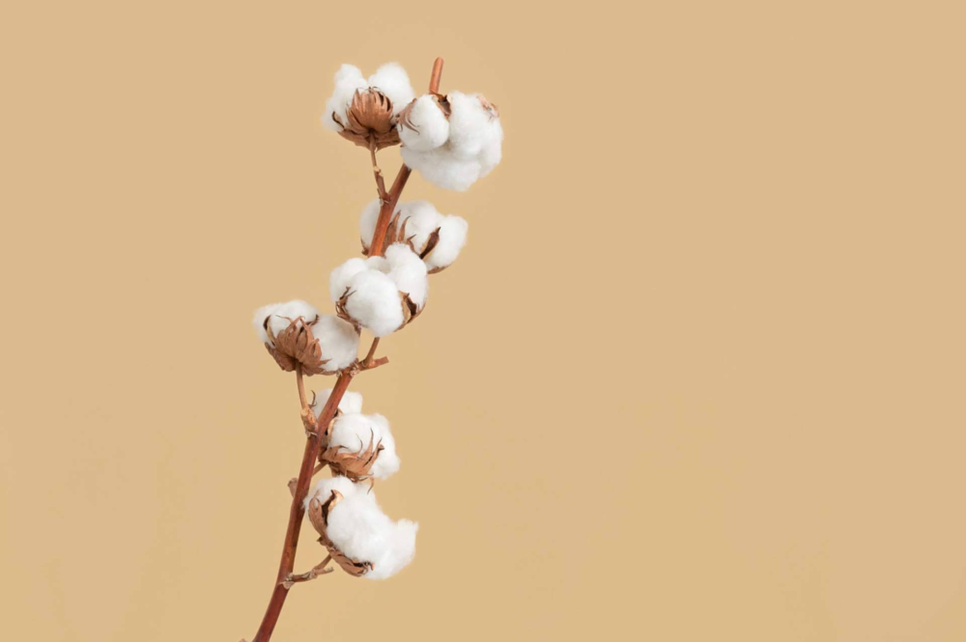 Lidia Crochet Tricot, la tienda online de hilos de algodón para crochet