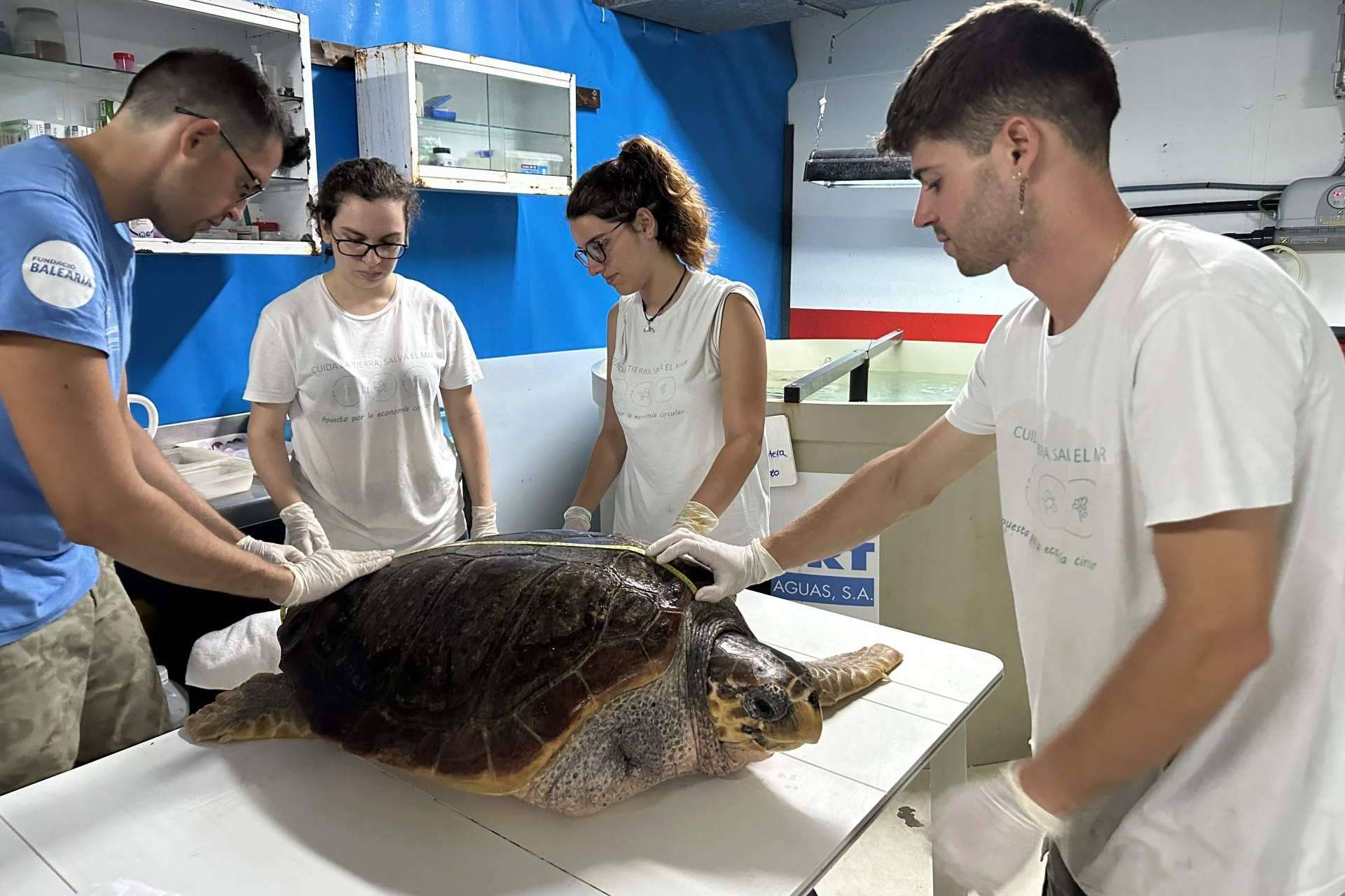 Compromiso medioambiental y educativo de Palma Aquarium en Mallorca