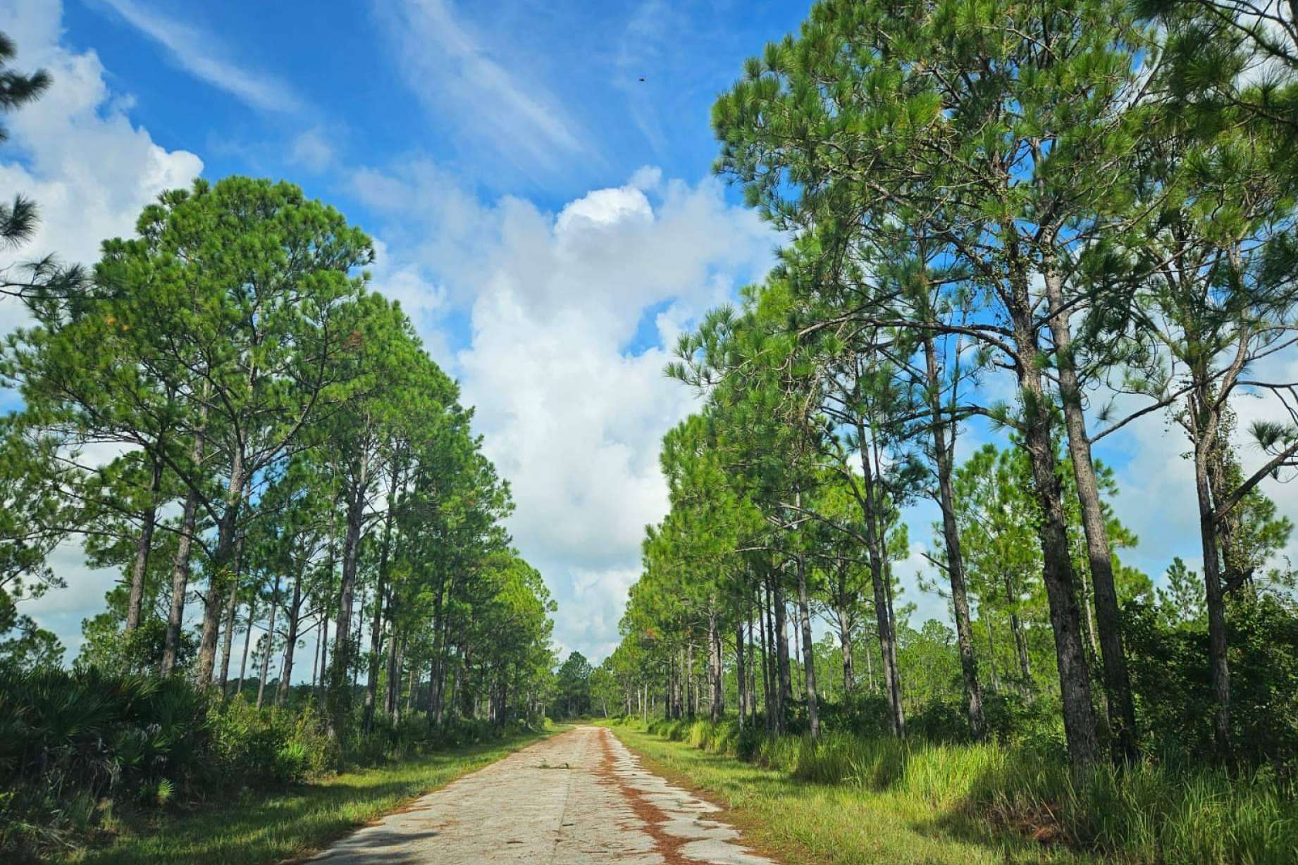 Aumento en el interés de invertir en Florida, por Vista Imark