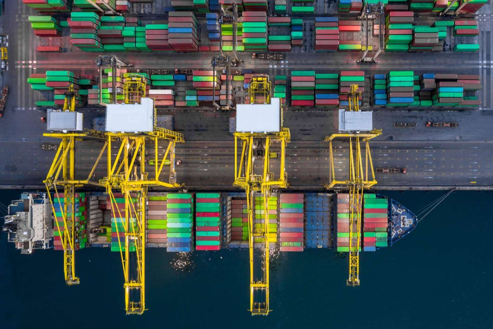 La importancia del control de plagas en las mercancías del transporte marítimo