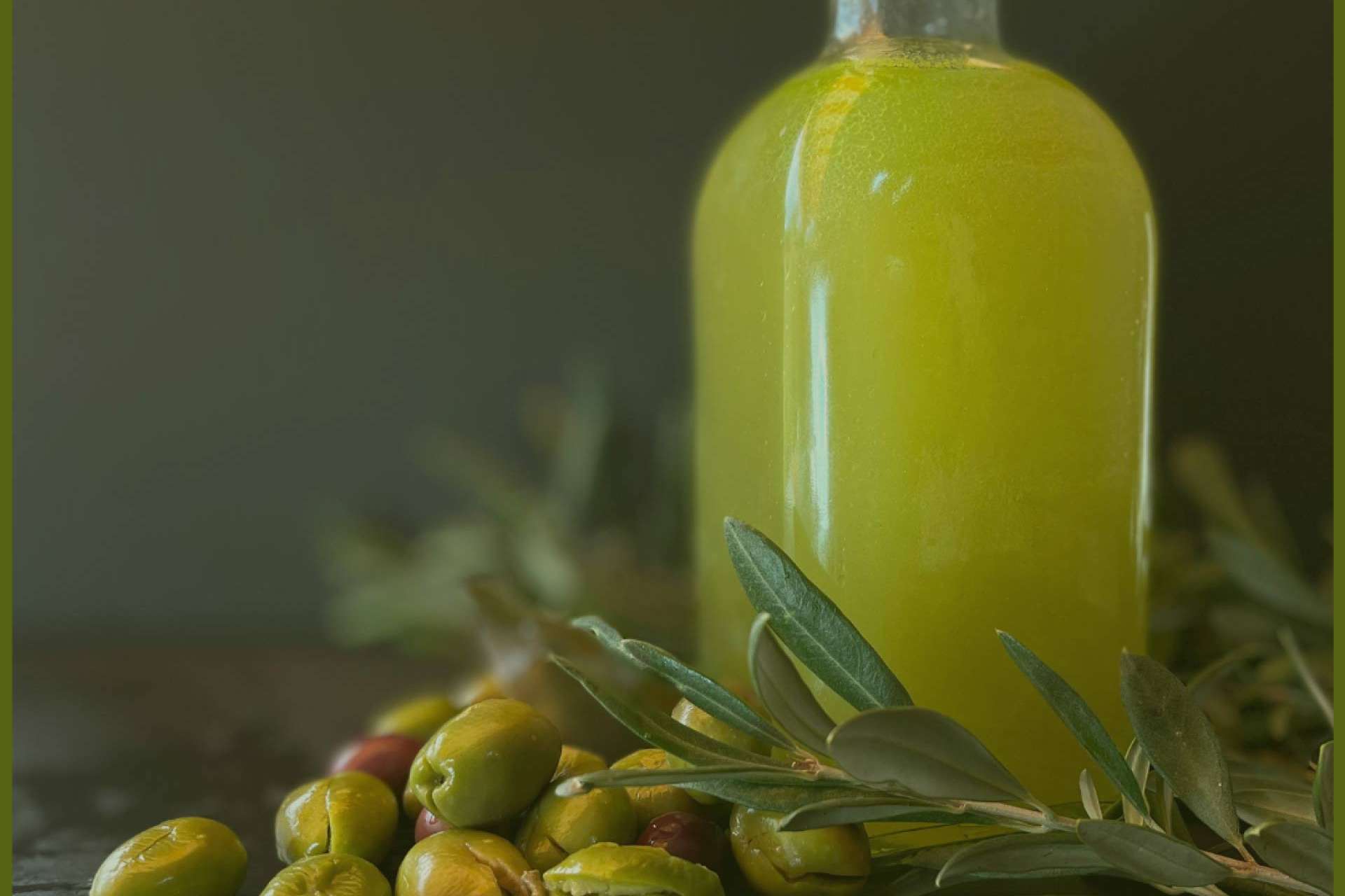 Olipaterna, productores de aceite de oliva virgen extra