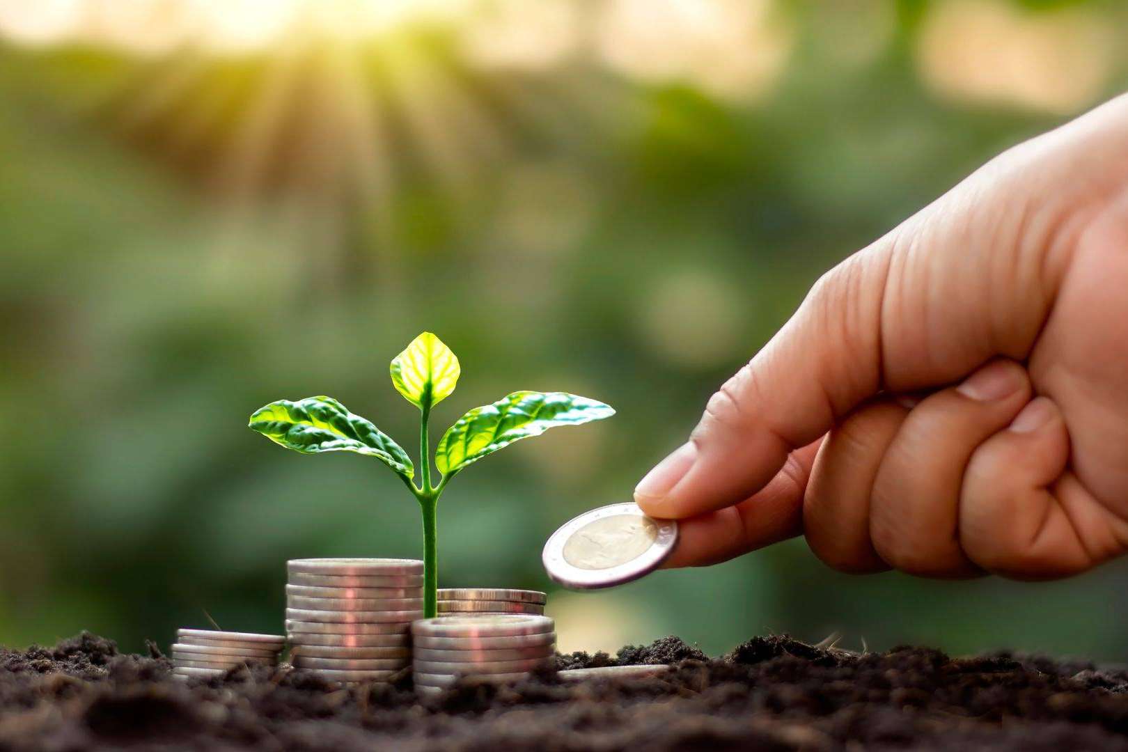 Eneryou, la empresa que permite ahorrar en la tarifa de gas