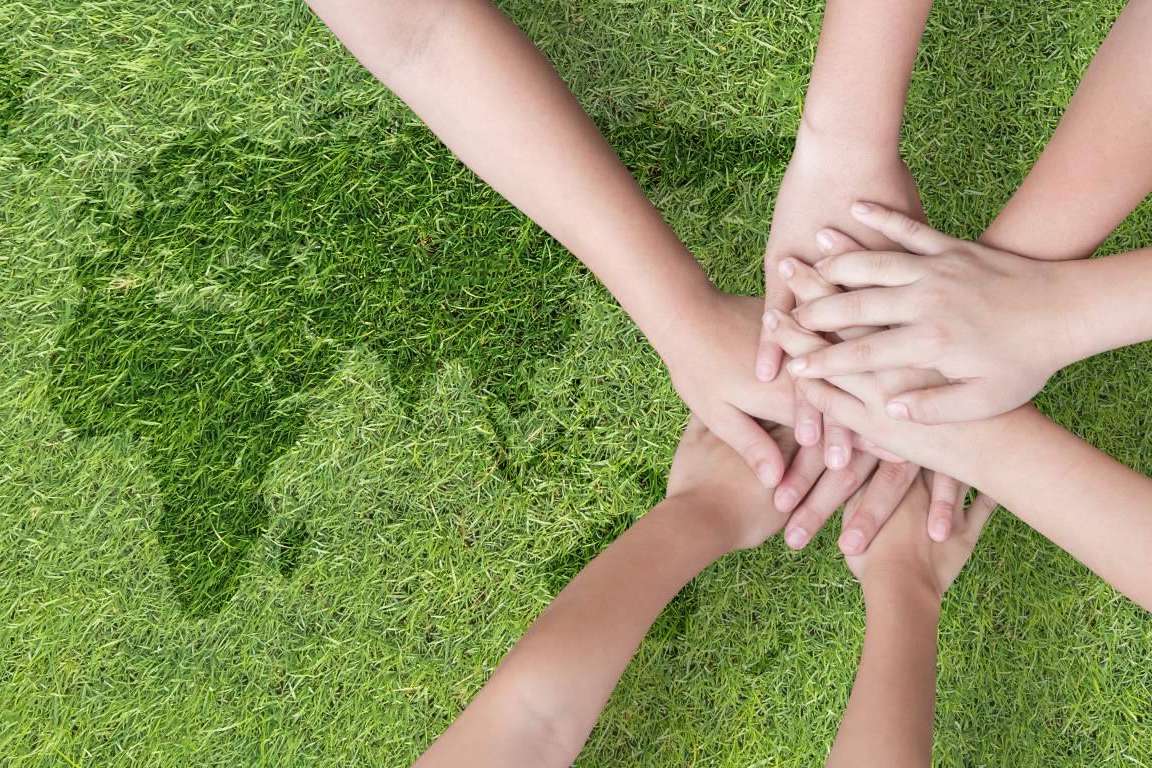 Laragon es el software diseñado para la gestión ambiental