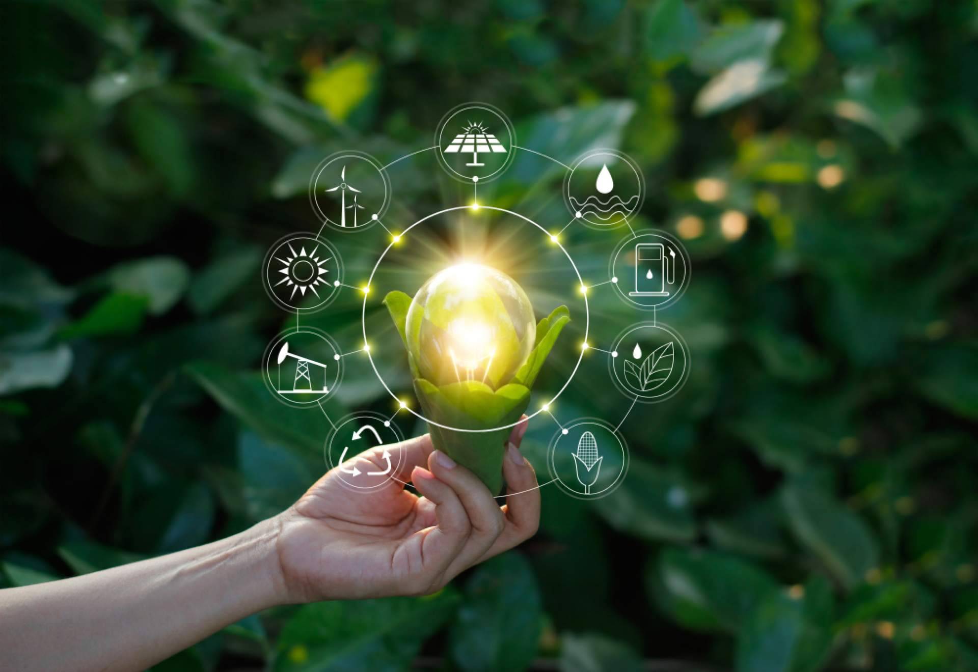 El soporte de un software de sostenibilidad al desarrollo empresarial, por DoGood People
