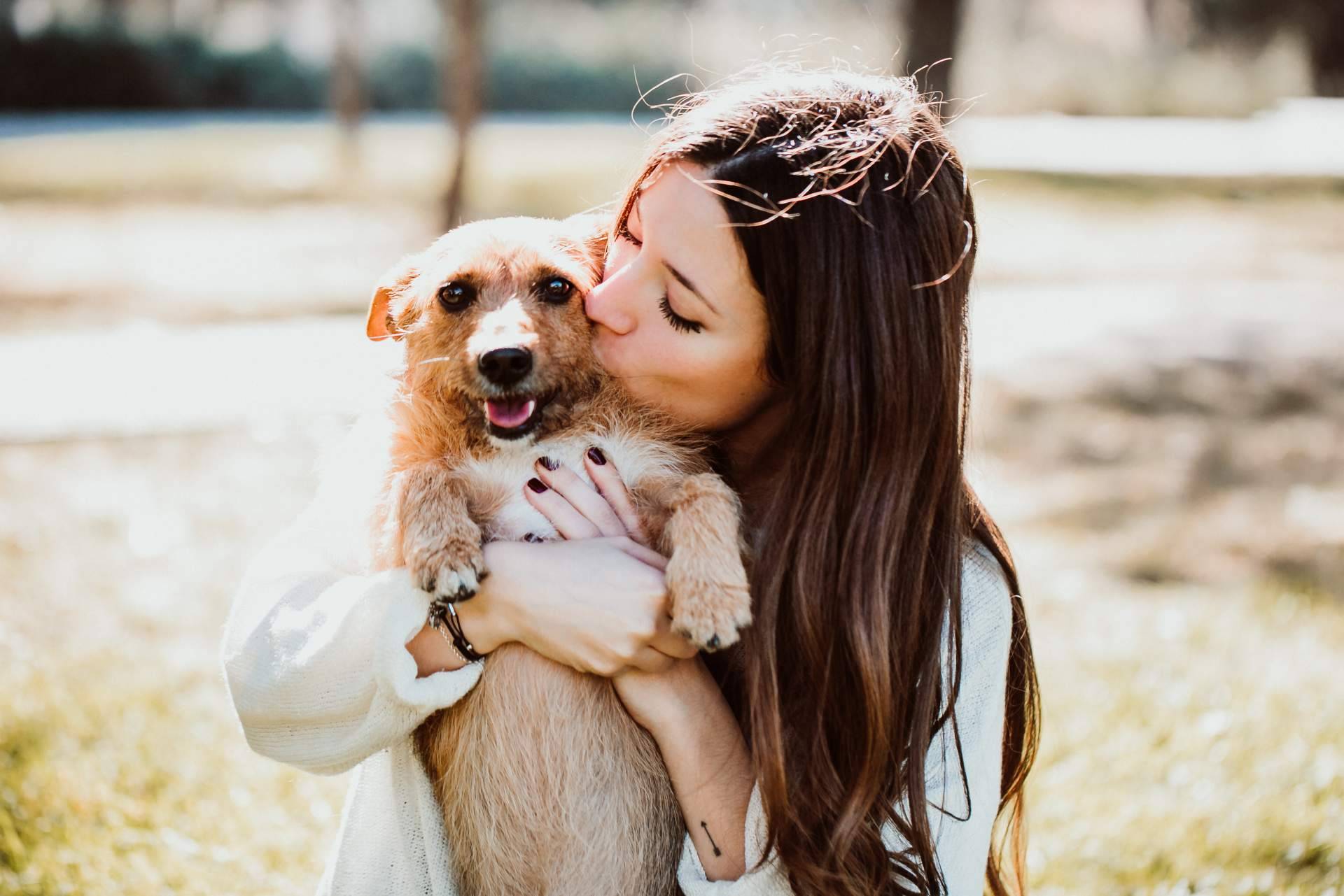 La aplicación que promueve la adopción de animales en España, Amazdog