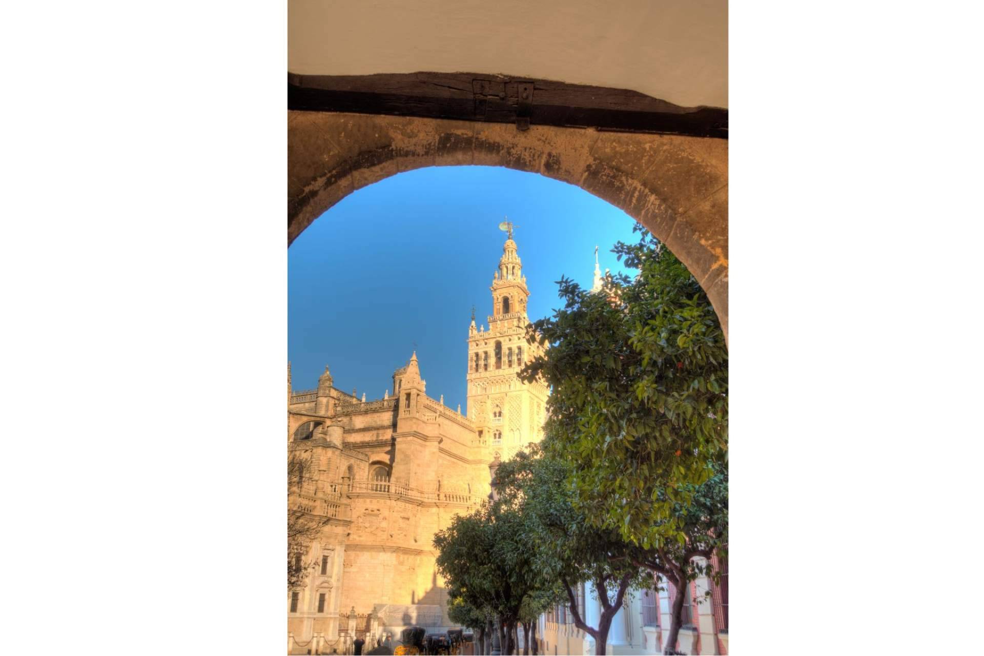 Los tours en Sevilla que nadie se debe perder para descubrir la magia de Sevilla